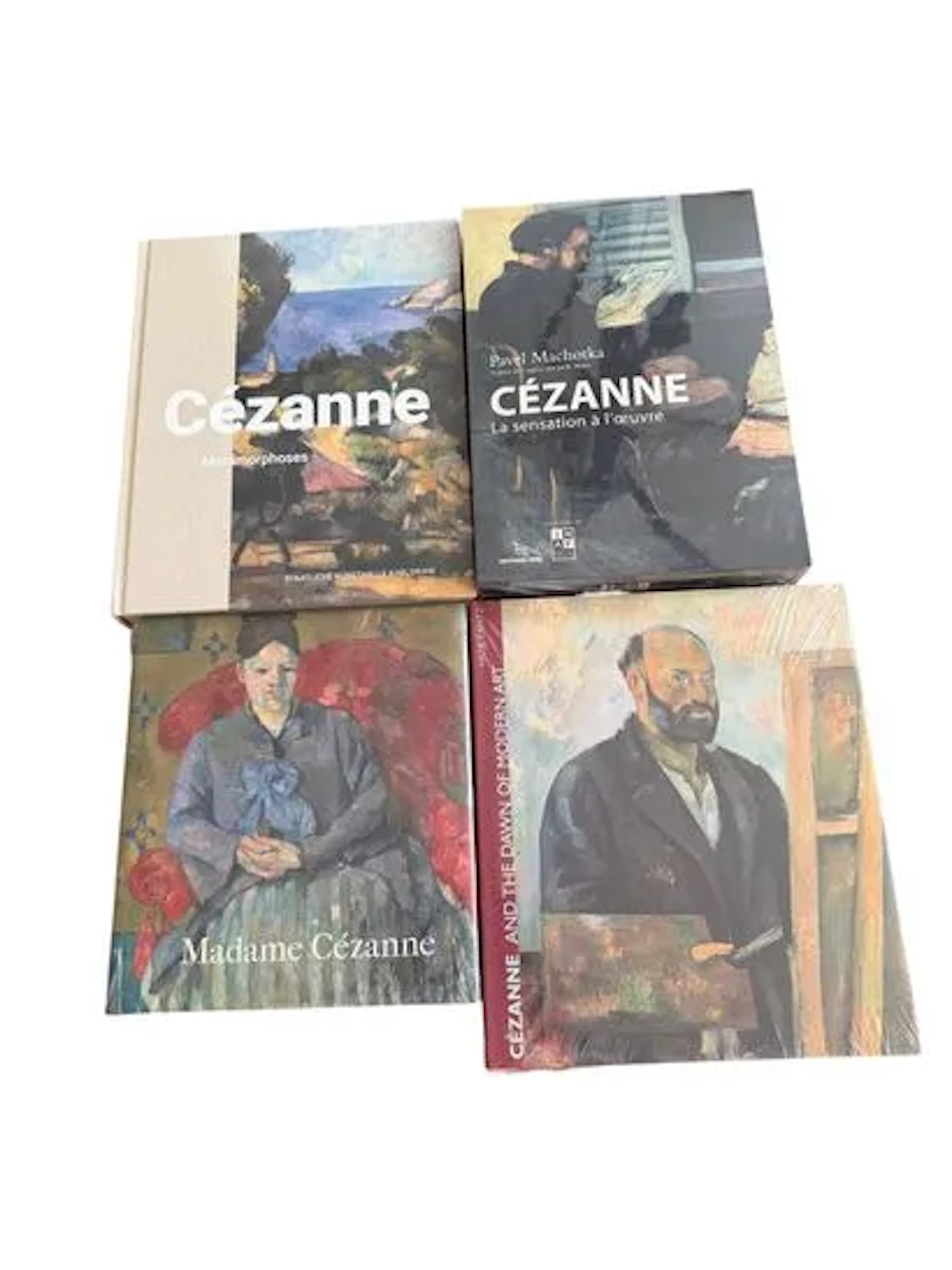 PAUL CEZANNE - Lot 173
