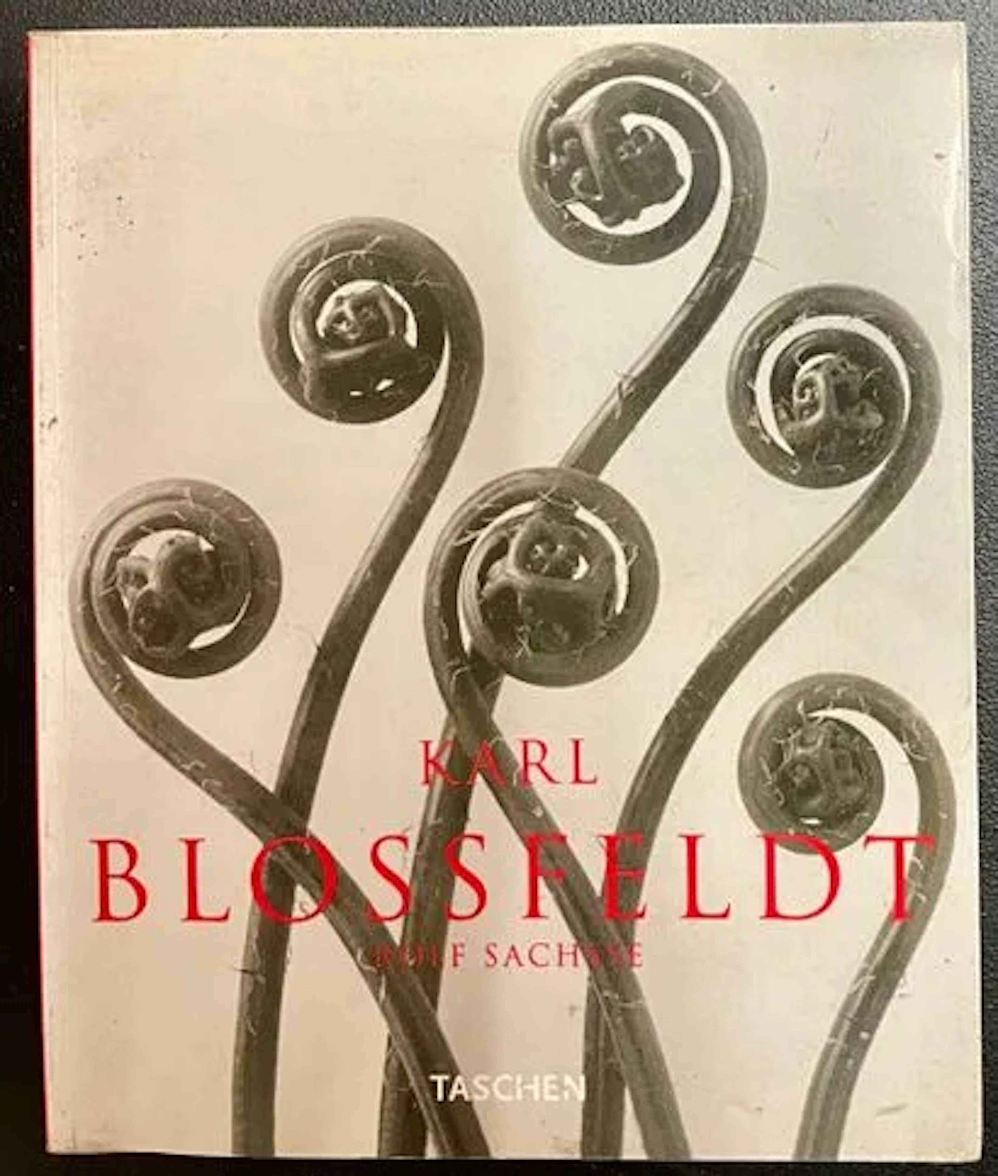 BLOSSFELDT (Karl). - Lot 29