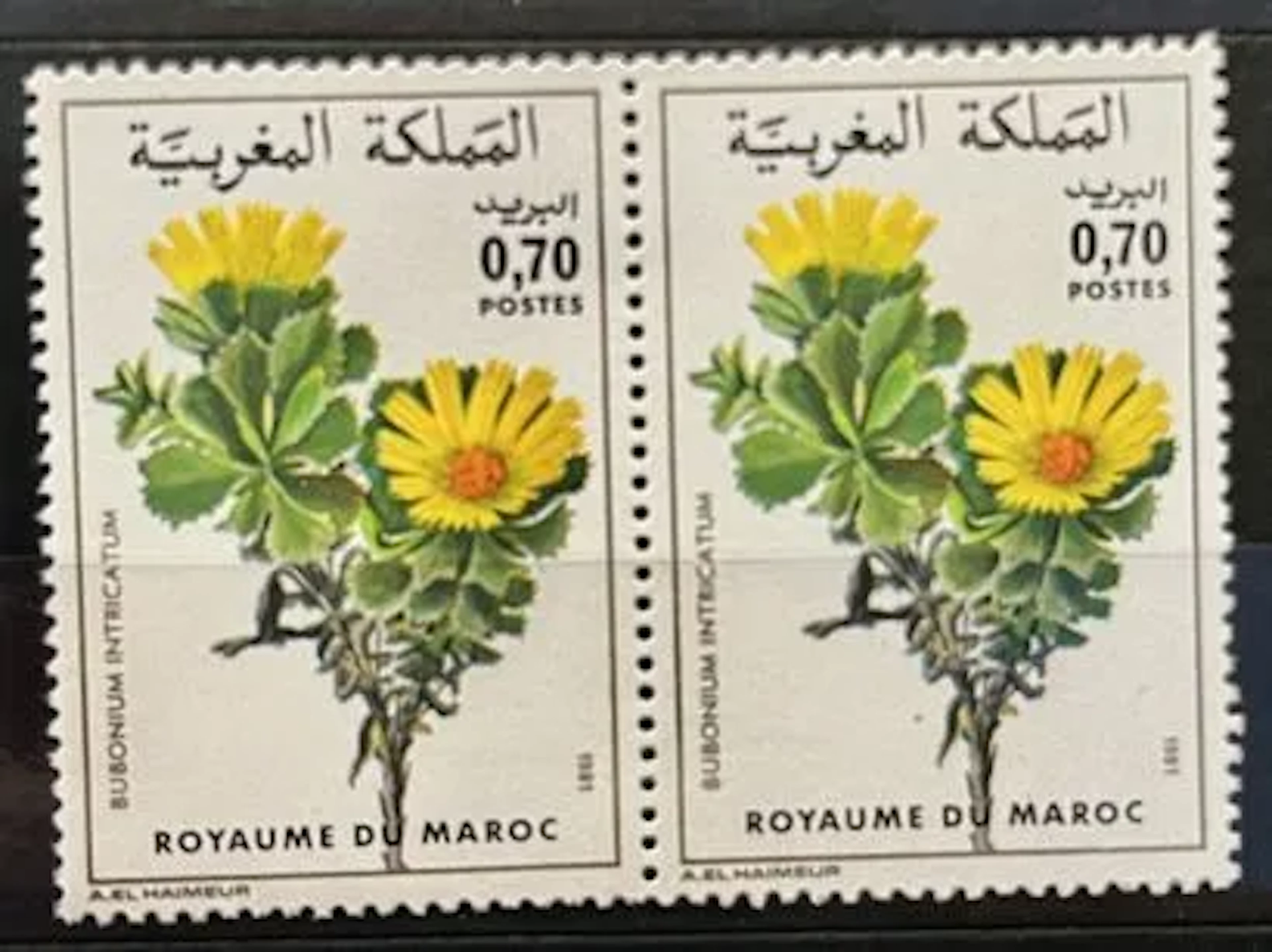 MOROCCO — FLORA: BUPLEURUM INTRICATUM — 1981 - Lot 166