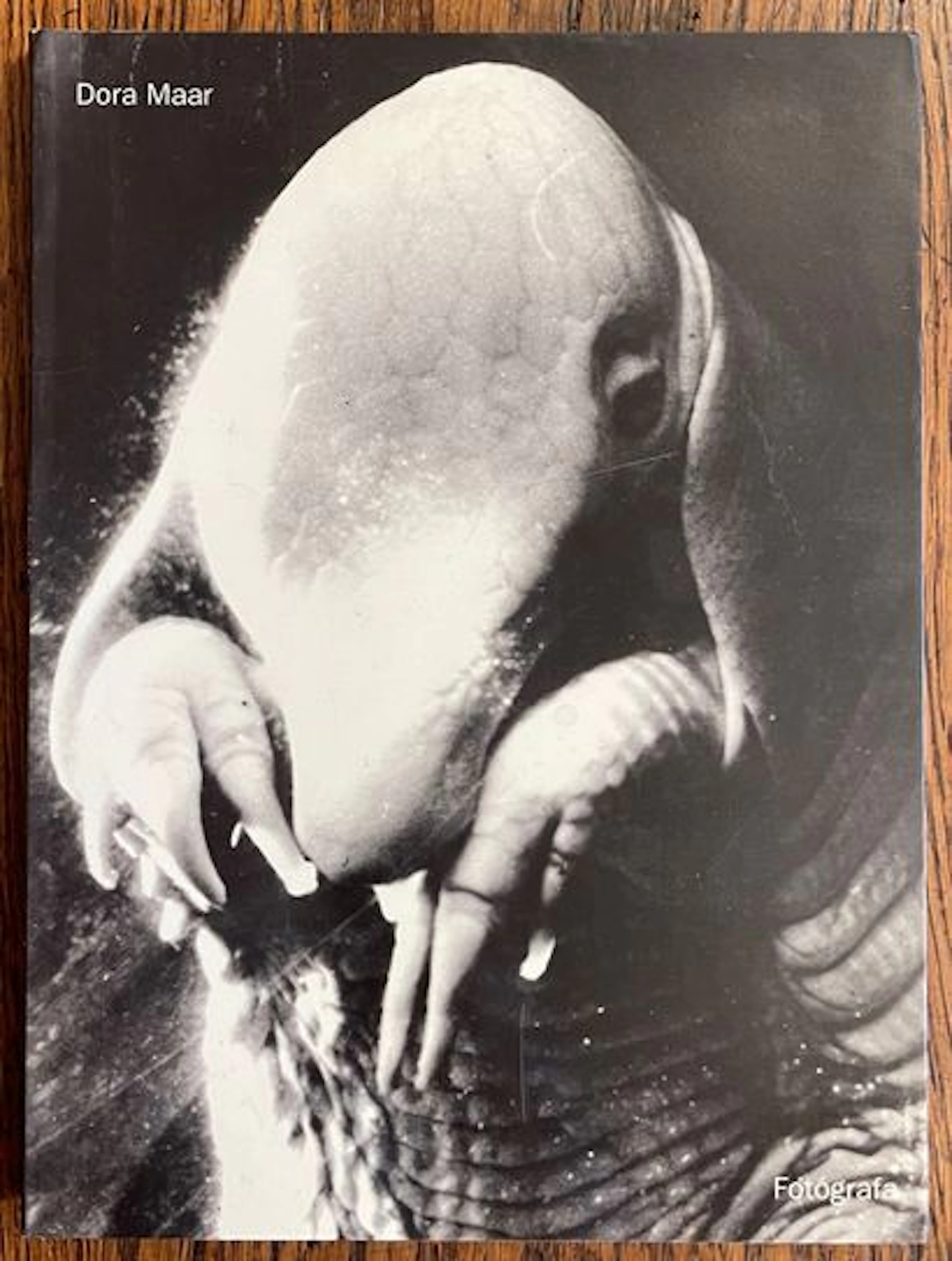 MAAR (Dora). - Lot 197
