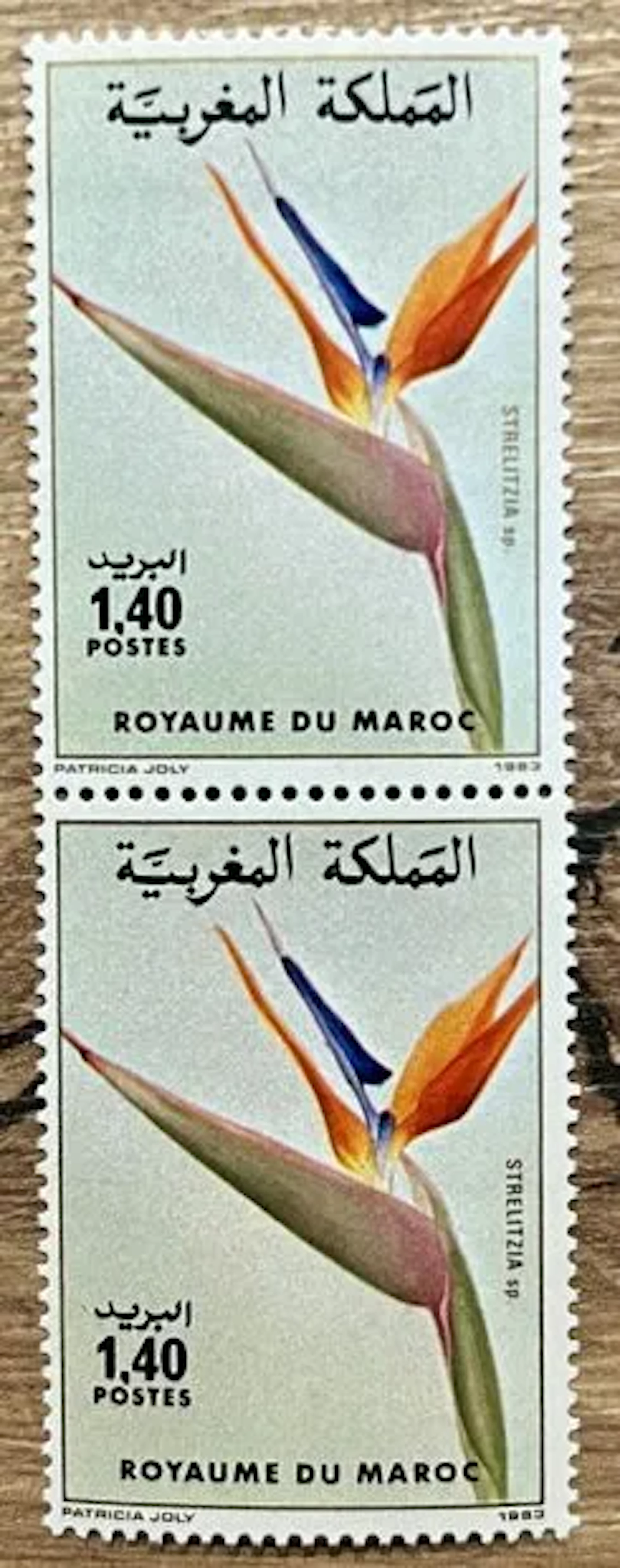 MOROCCO - Strelitzia, vertical pair, 1983 - Lot 80