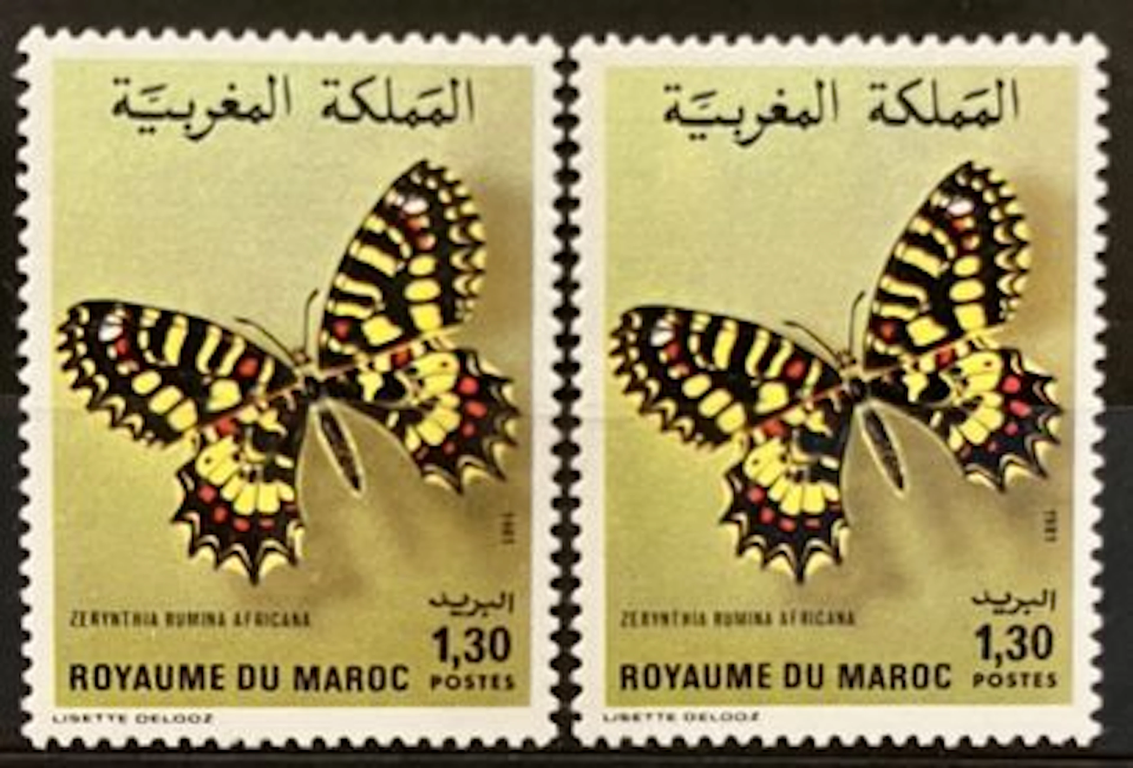 MAROC — PAPILLON — ZERYNTHIA RUMINA AFRICANA — 1,30 DH — 198 - Lot 265