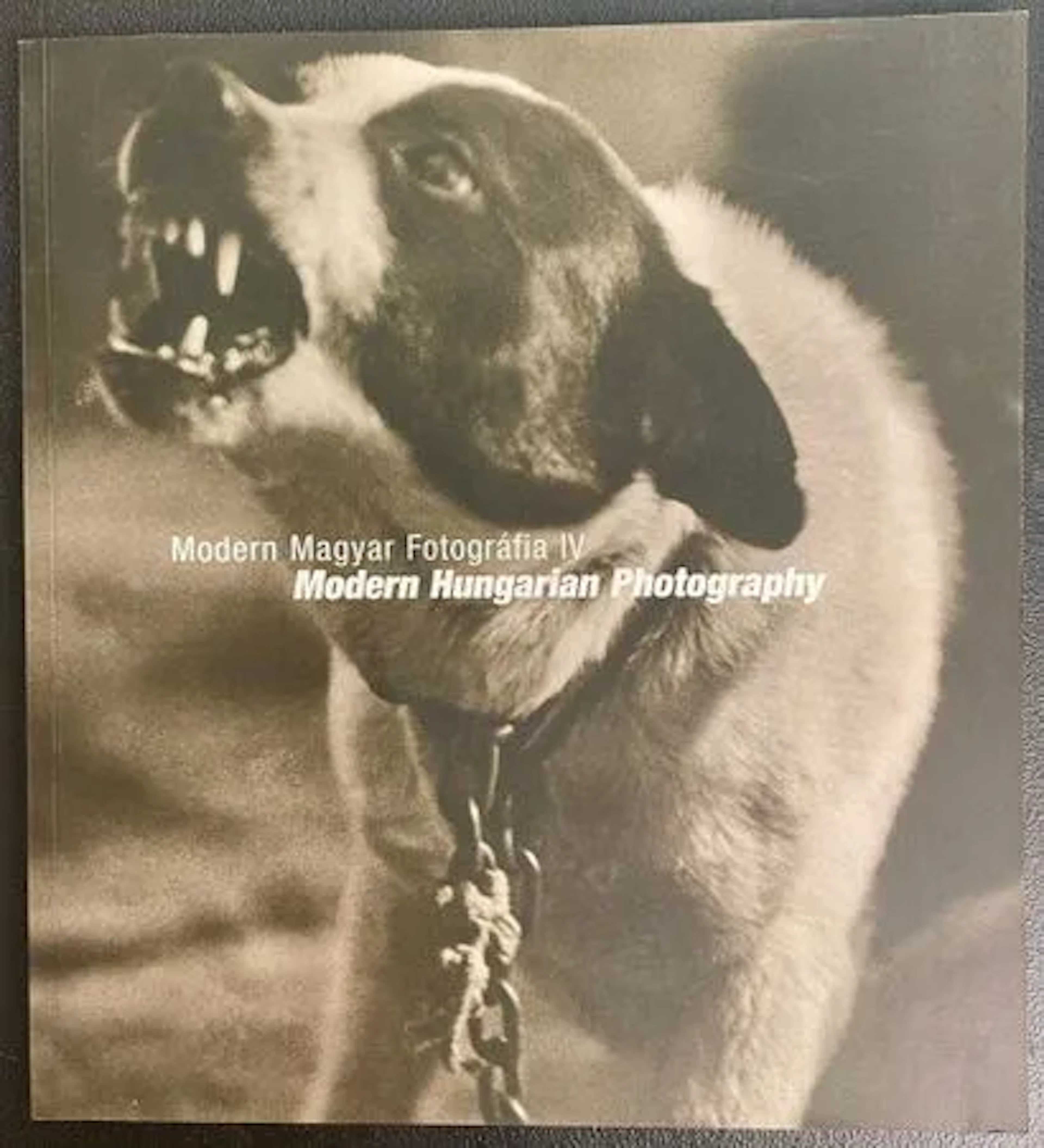 MODERN HUNGARIAN PHOTOGRAPHY IV. - Lot 212