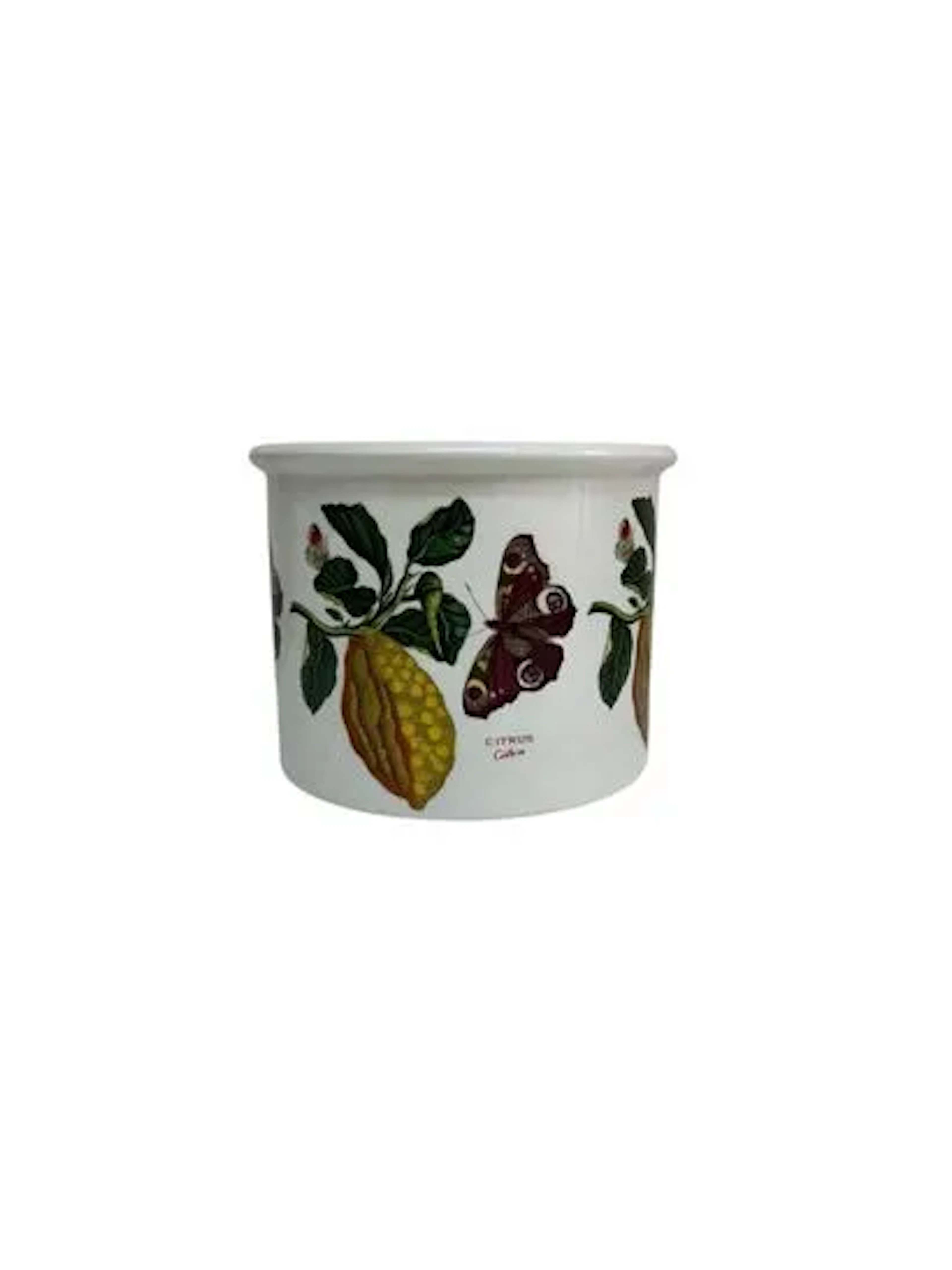 PORTMEIRION - Lot 443