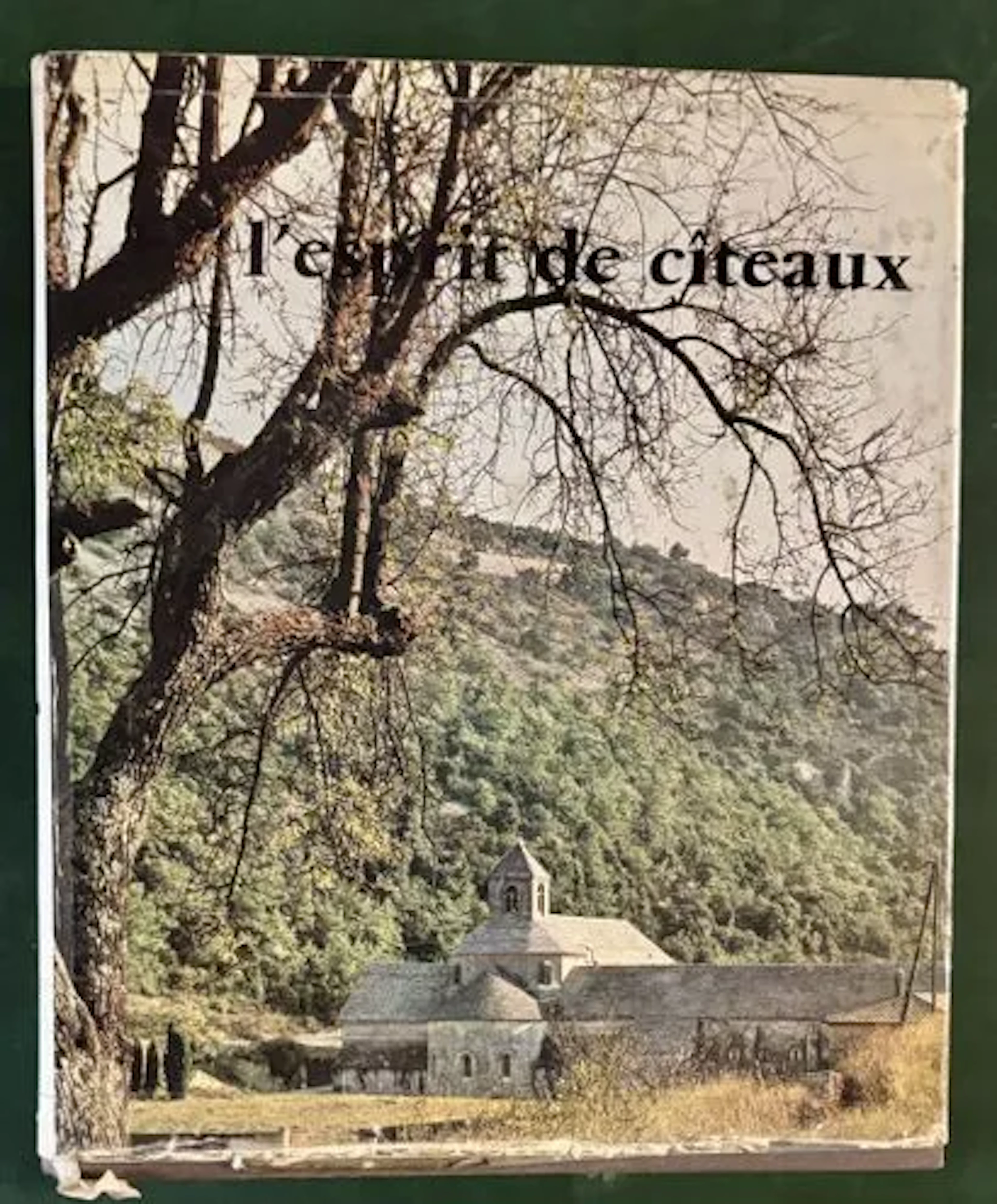 SAINT BERNARD — L'ESPRIT DE CÎTEAUX - Lot 272