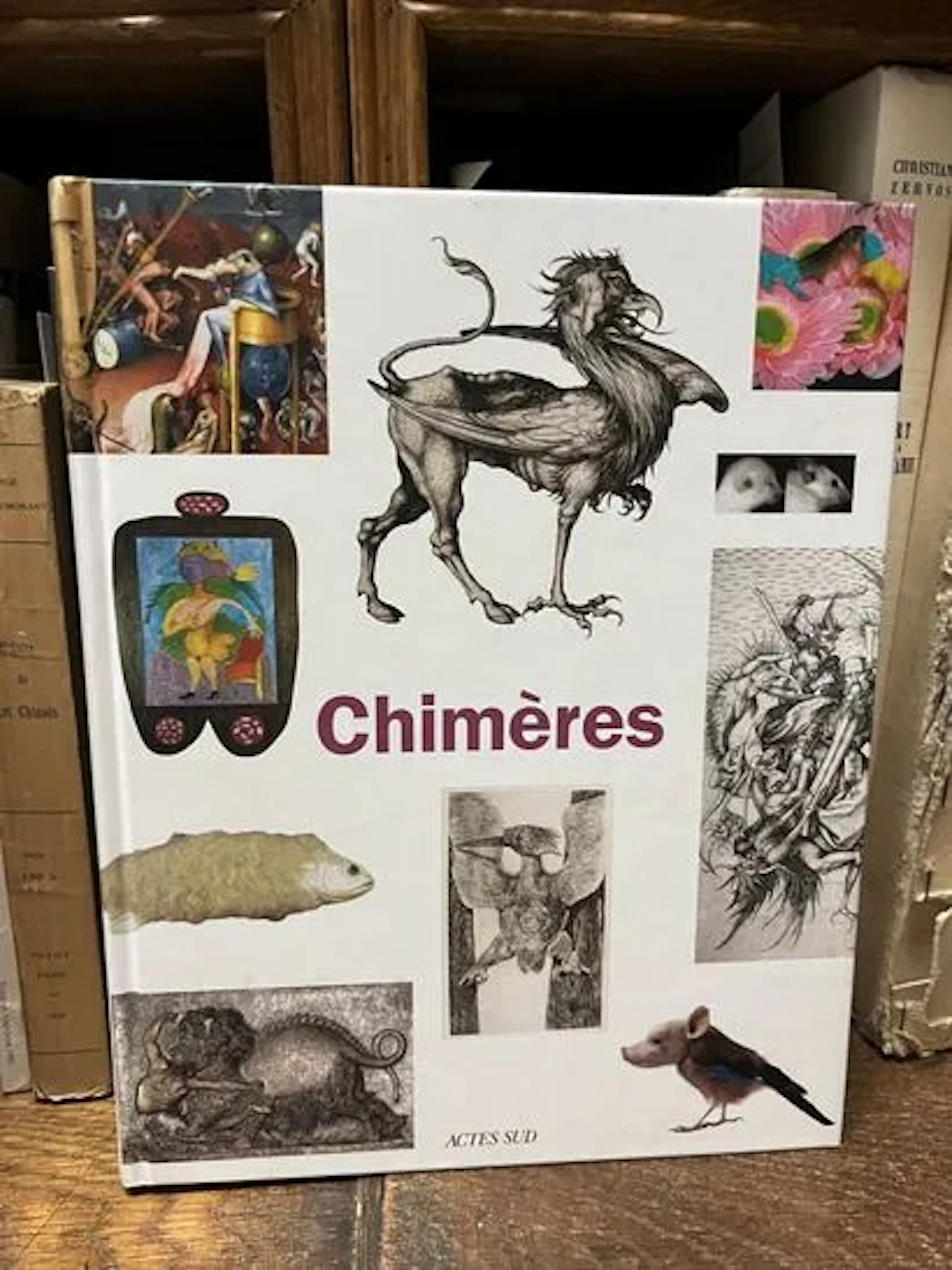 CHIMÈRES. - Lot 62