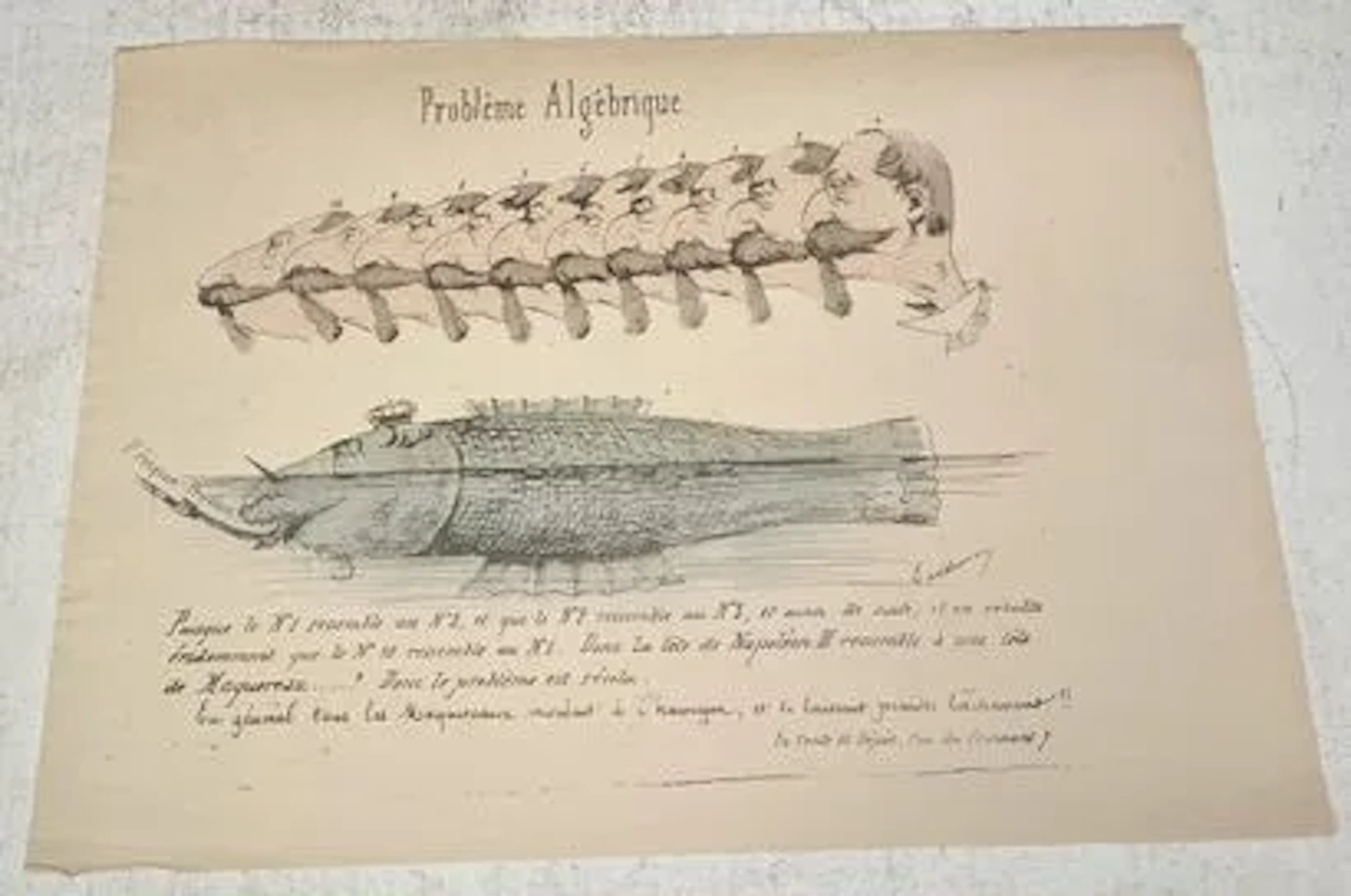 Problème algébrique - Lot 269
