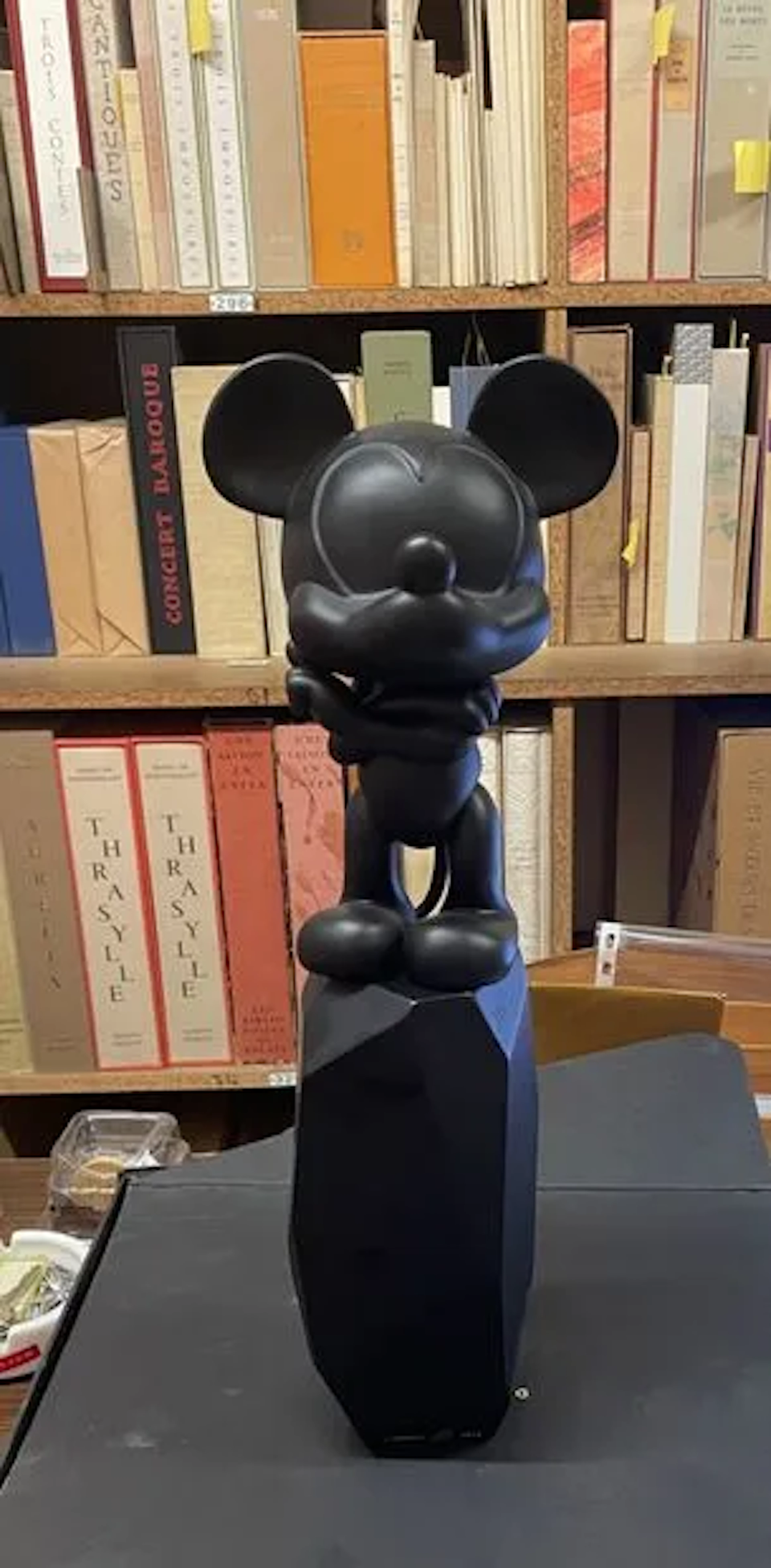 Mickey Rock Medium 43 cm (Full Black) - Arik Levy x Leblon-D - Lot 47