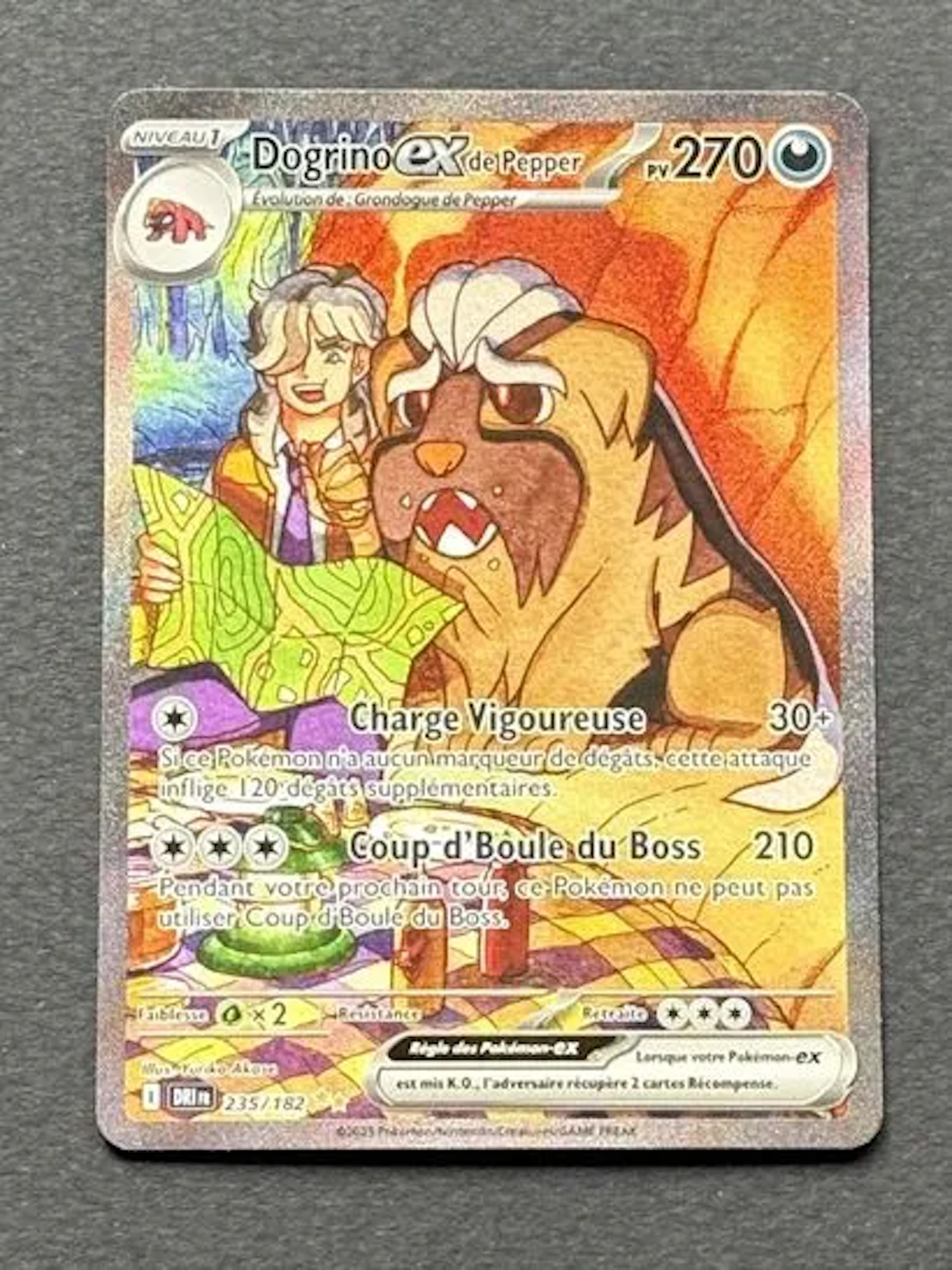 POKÉMON - Lot 4