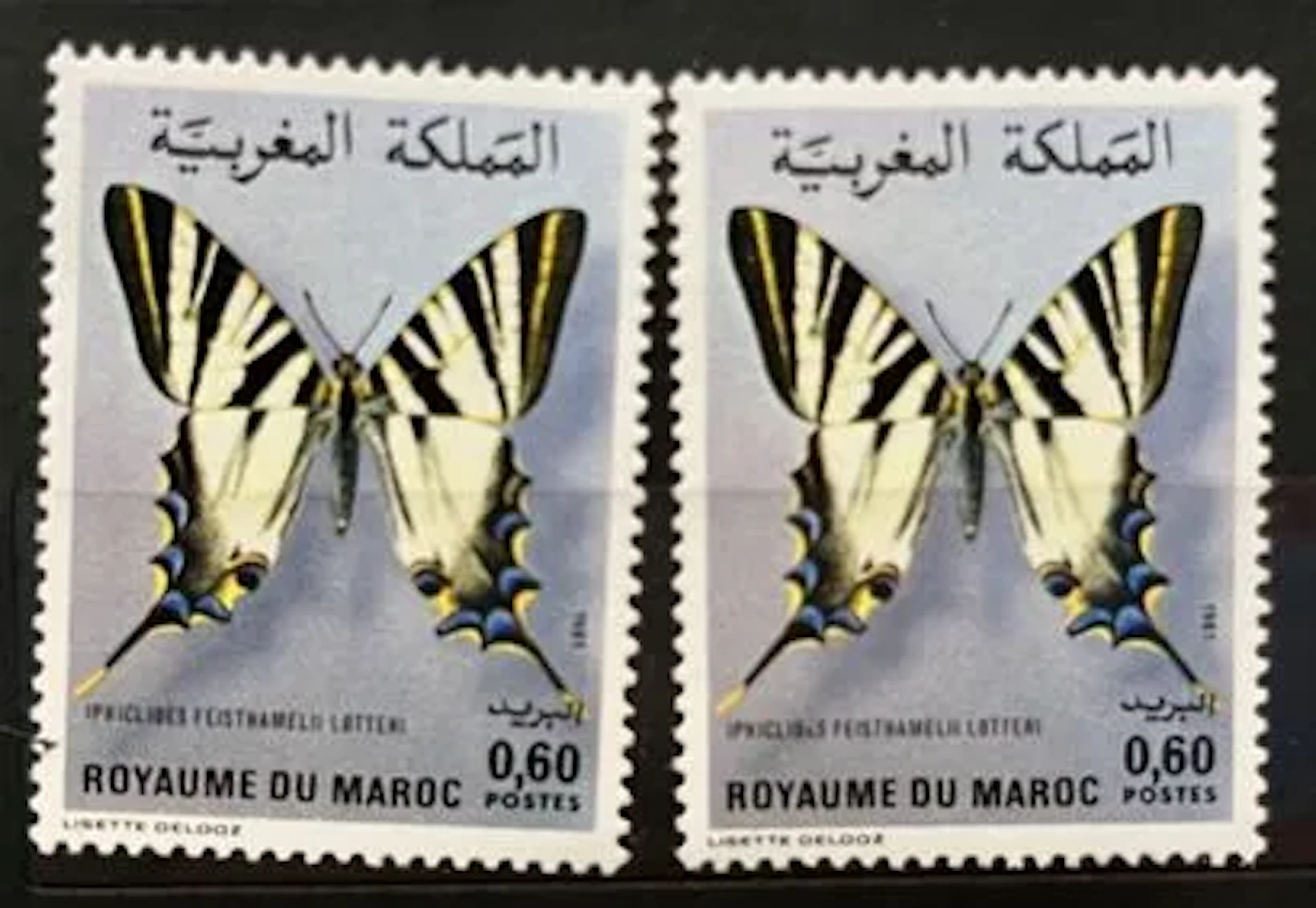 MAROC — PAPILLON — IPHICLIDES FEISTHAMELII — 0,60 DH — 1981 - Lot 263
