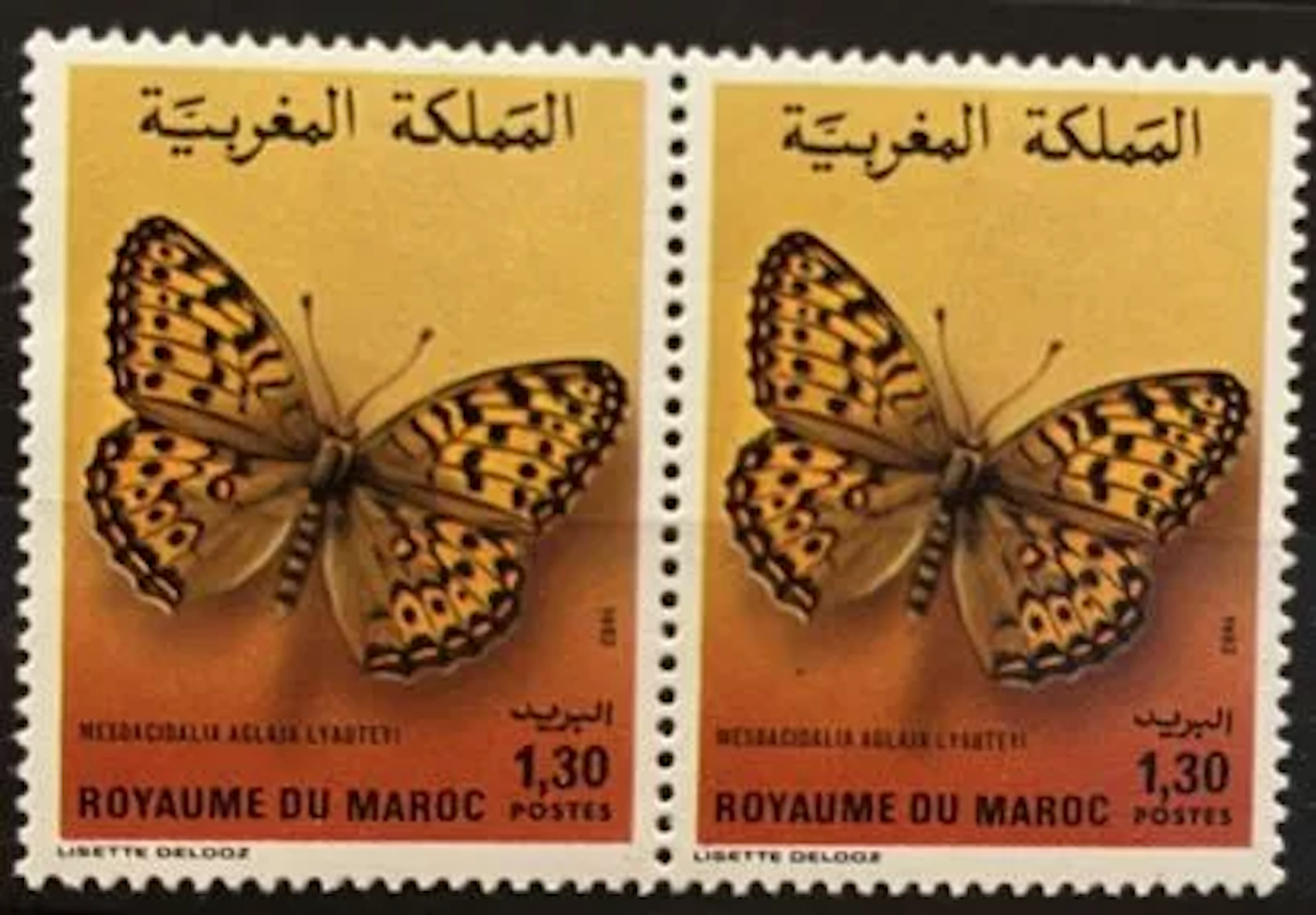 MAROC — PAPILLON — MESOACIDALIA AGLAJA LY AUTERI — 1,30 DH — - Lot 264