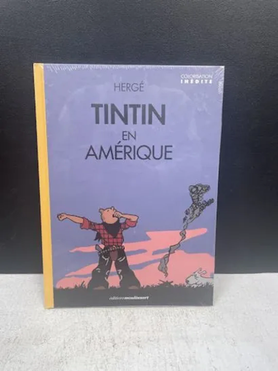 TINTIN (Hergé) - Album cartonné : Tintin en Amérique / Color - Lot 215