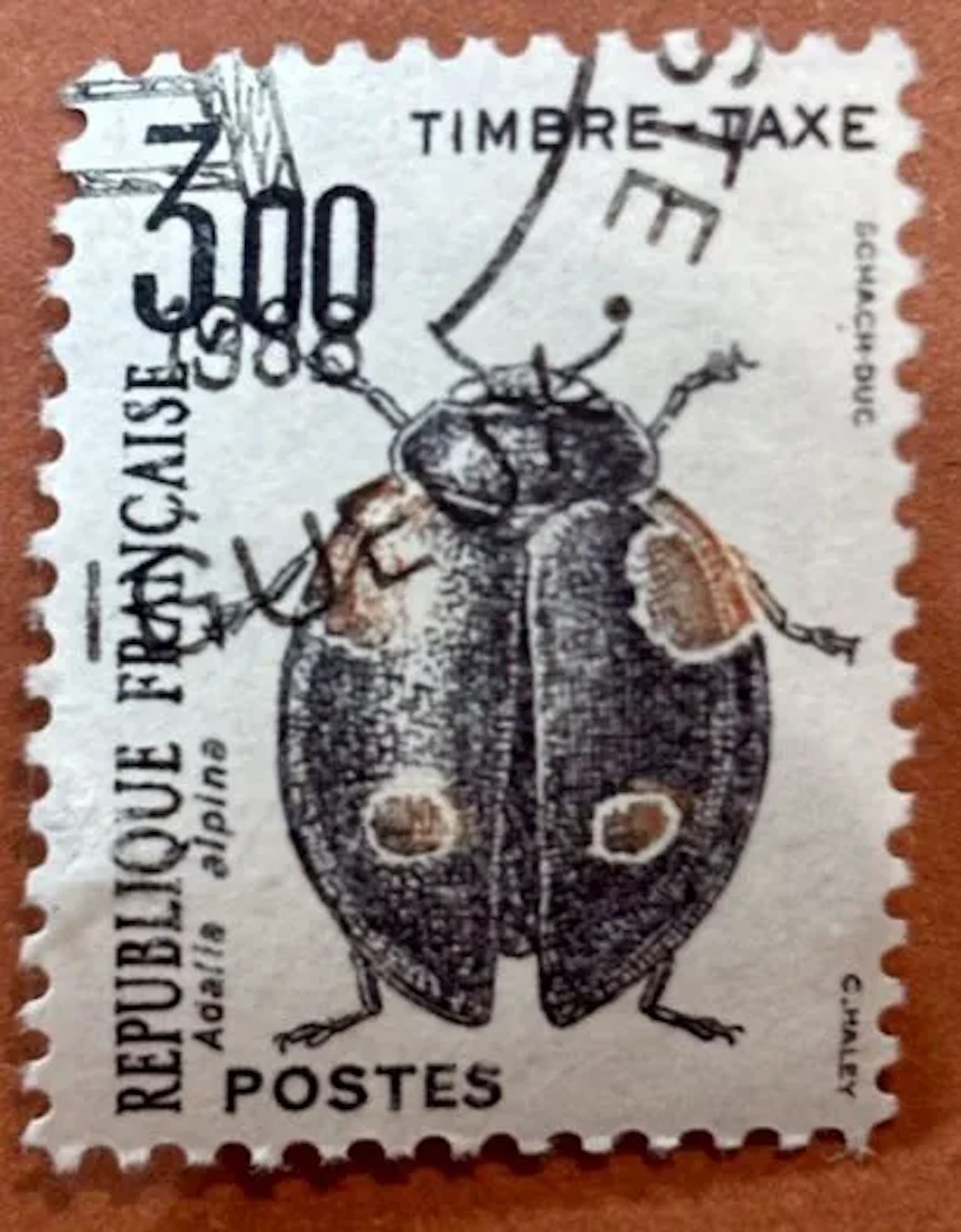 FRANCE — TIMBRE-TAXE — 3 F — ADALIA BIPUNCTATA - Lot 183