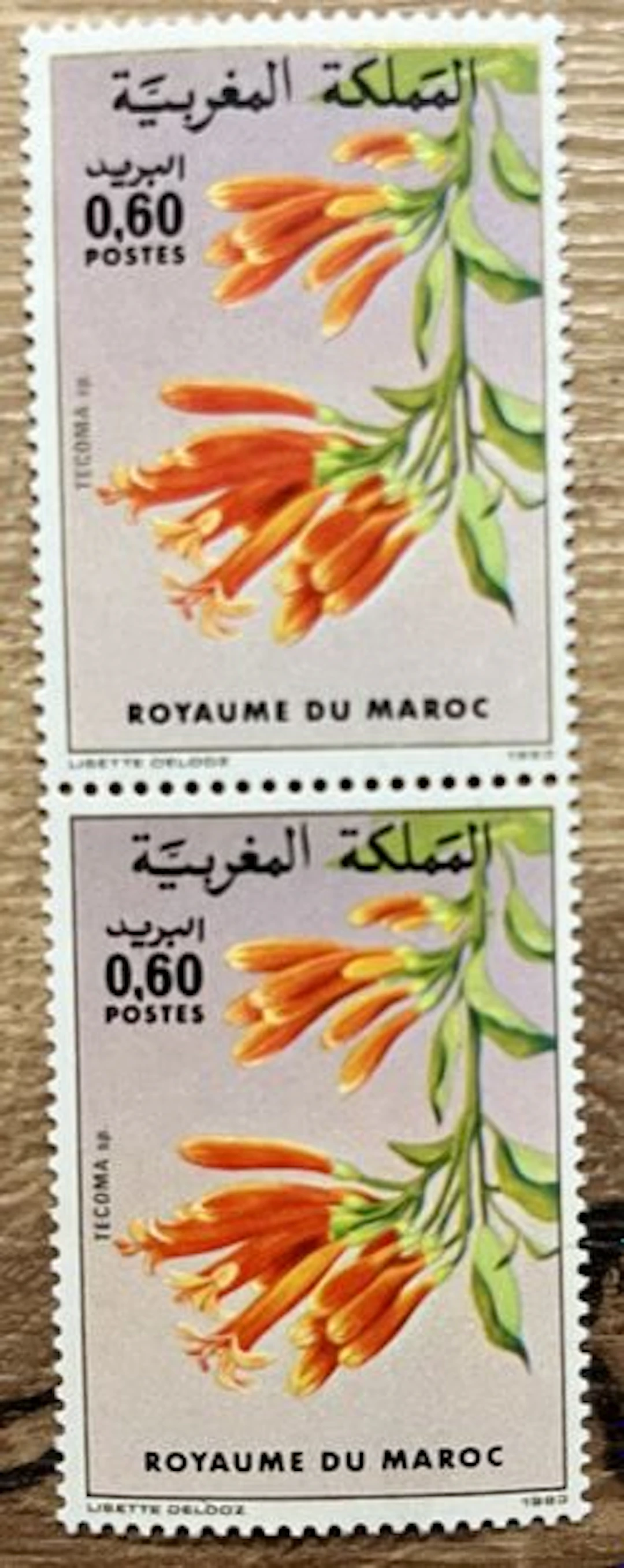 MOROCCO - Tecoma, flowers, vertical pair, 1983 - Lot 83