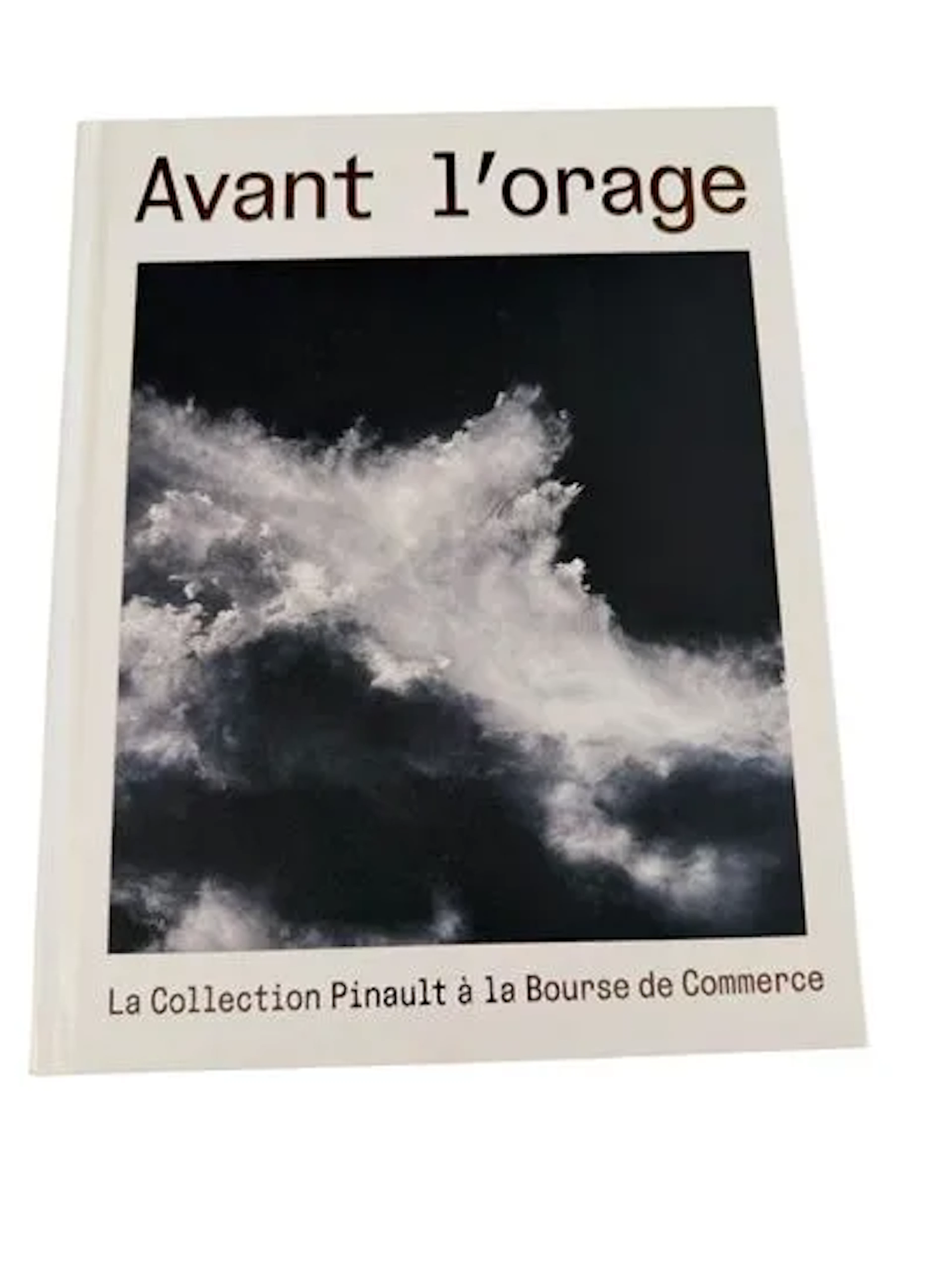 AVANT L'ORAGE - Lot 313