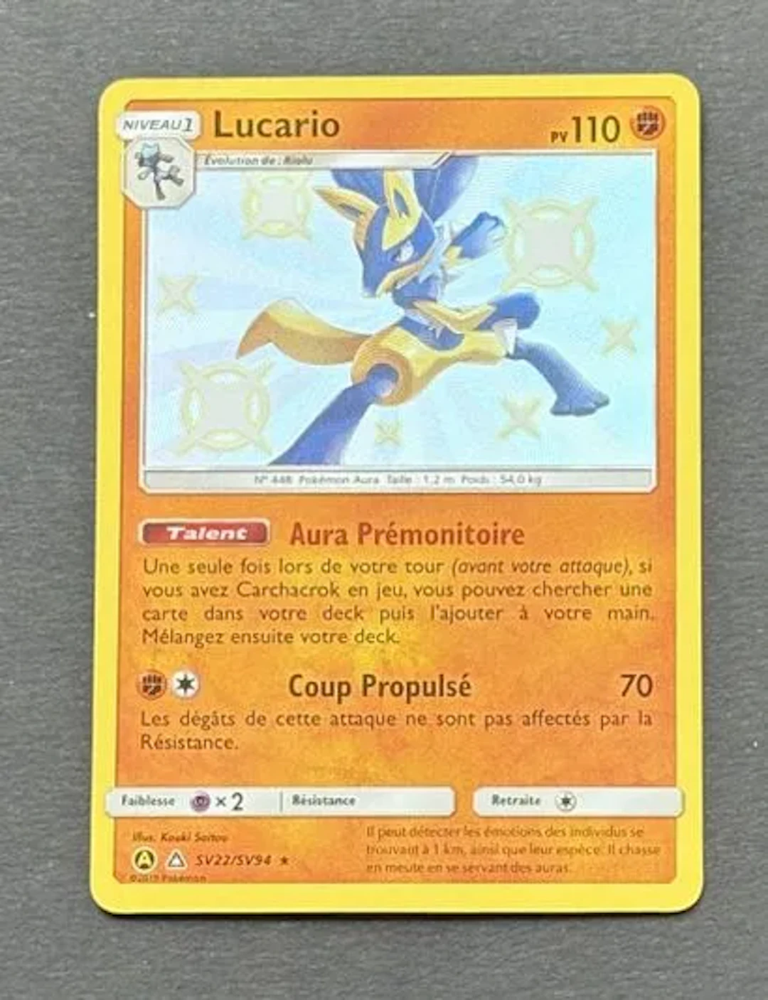 POKÉMON - Lot 80