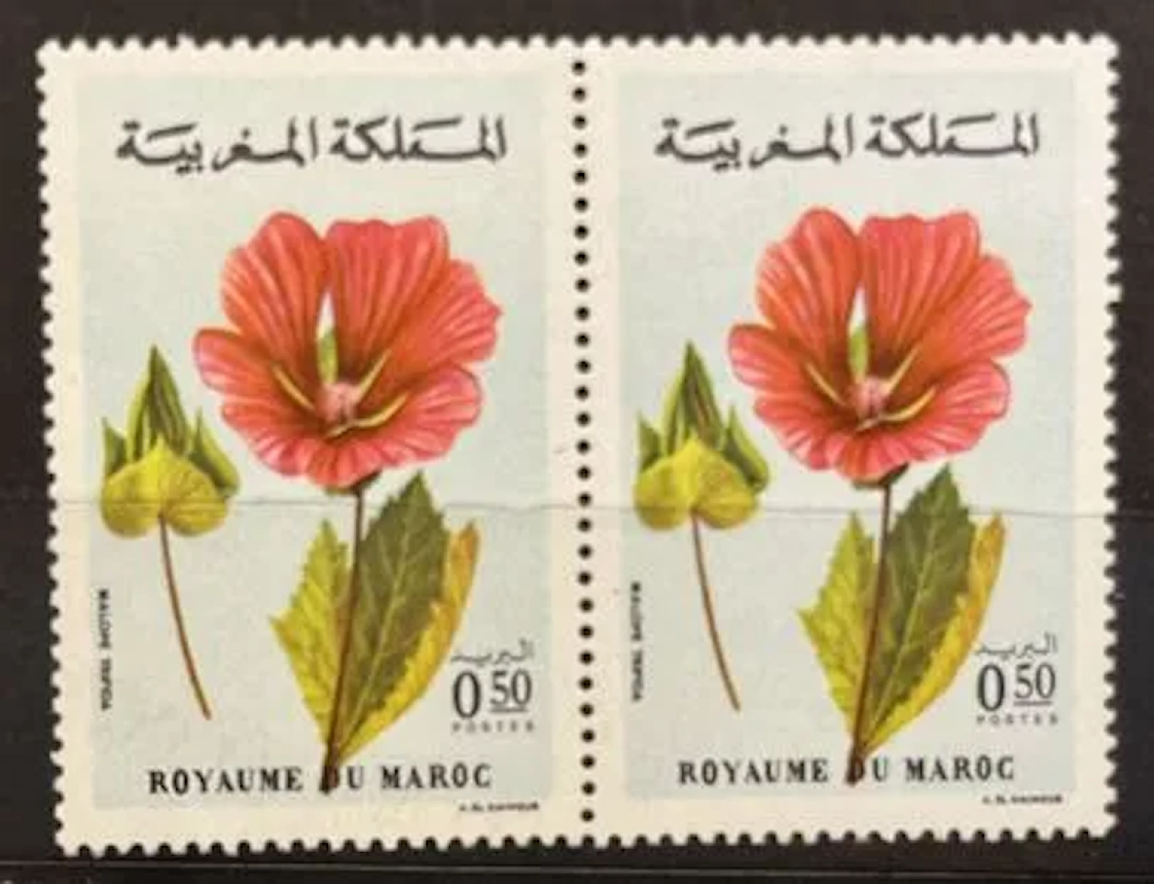 MOROCCO — FLORA — HIBISCUS — 0.50 - Lot 161