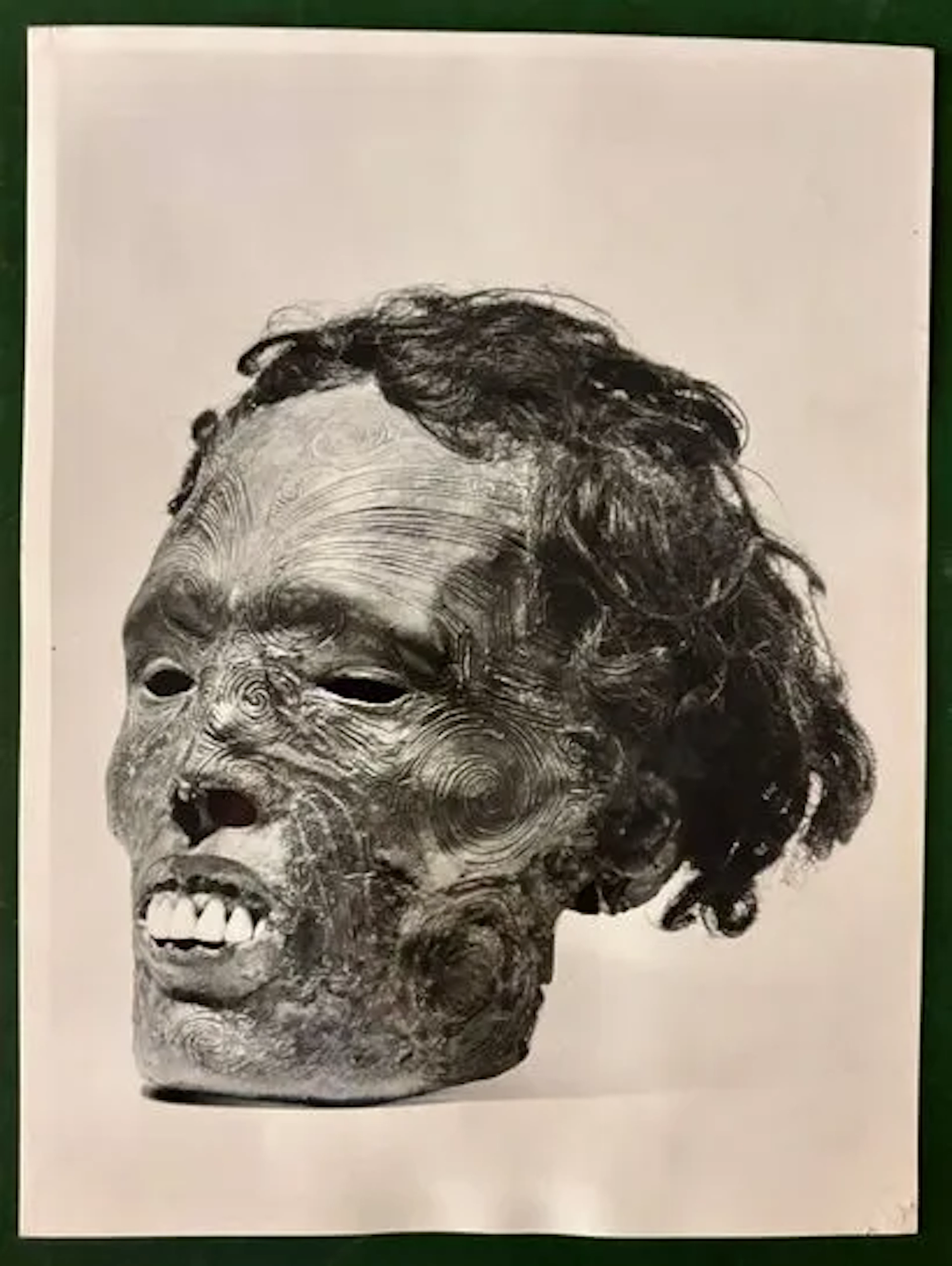 MAORI TATTOOED HEAD (Mokomokai). - Lot 263