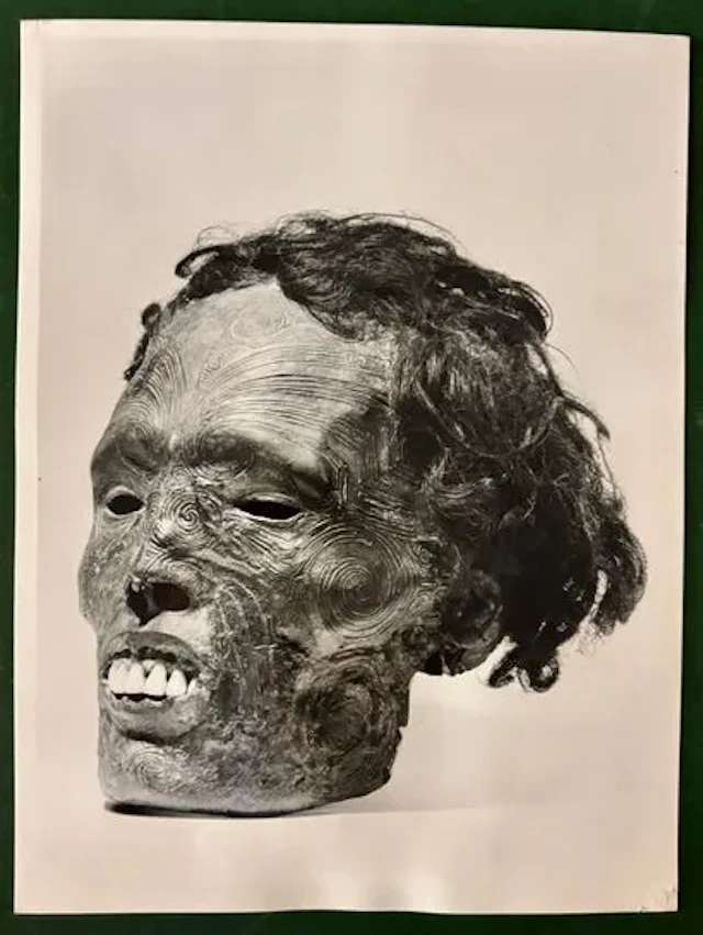 MAORI TATTOOED HEAD (Mokomokai). - Lot 263