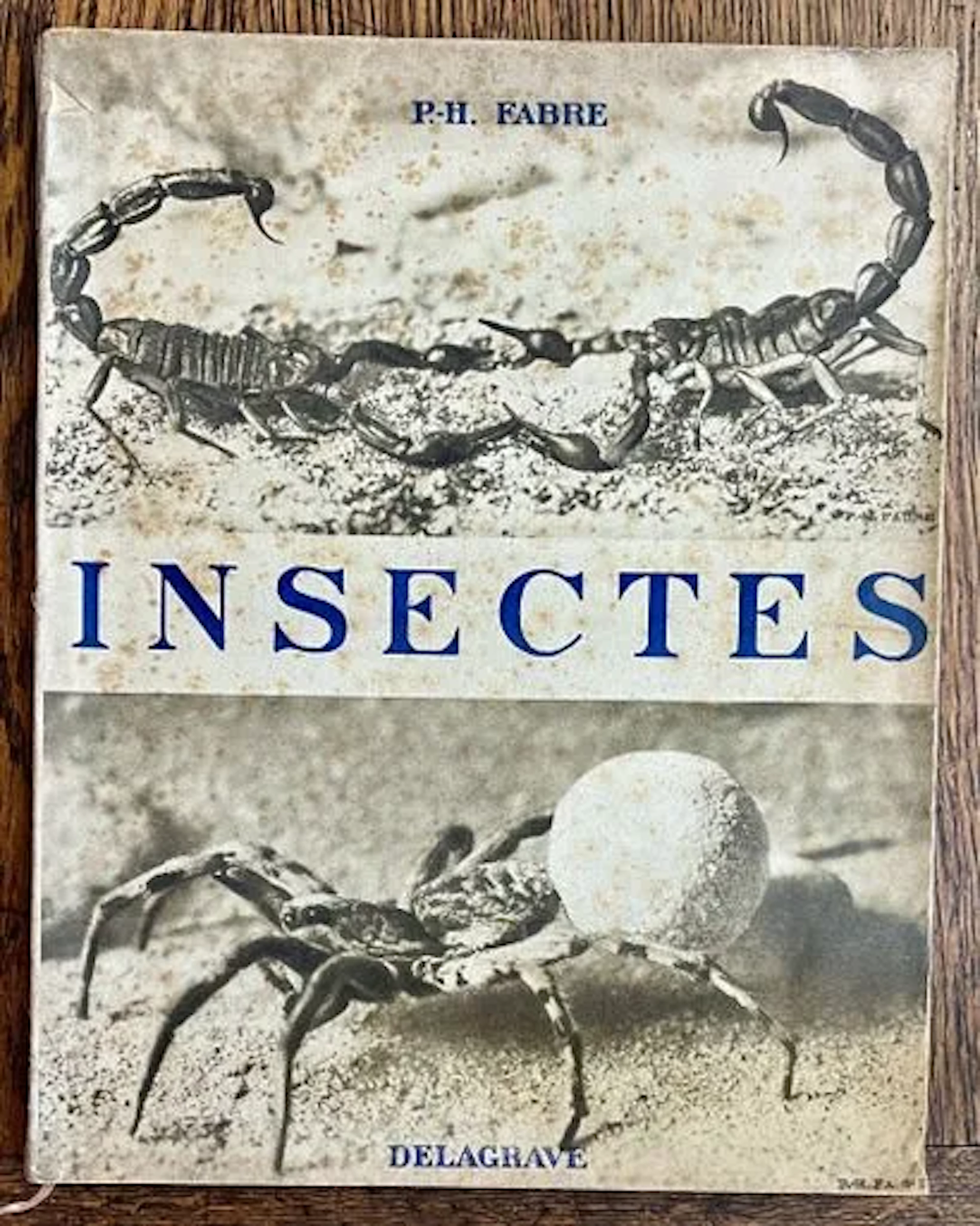 FABRE (Paul-H.) — INSECTES - Lot 90