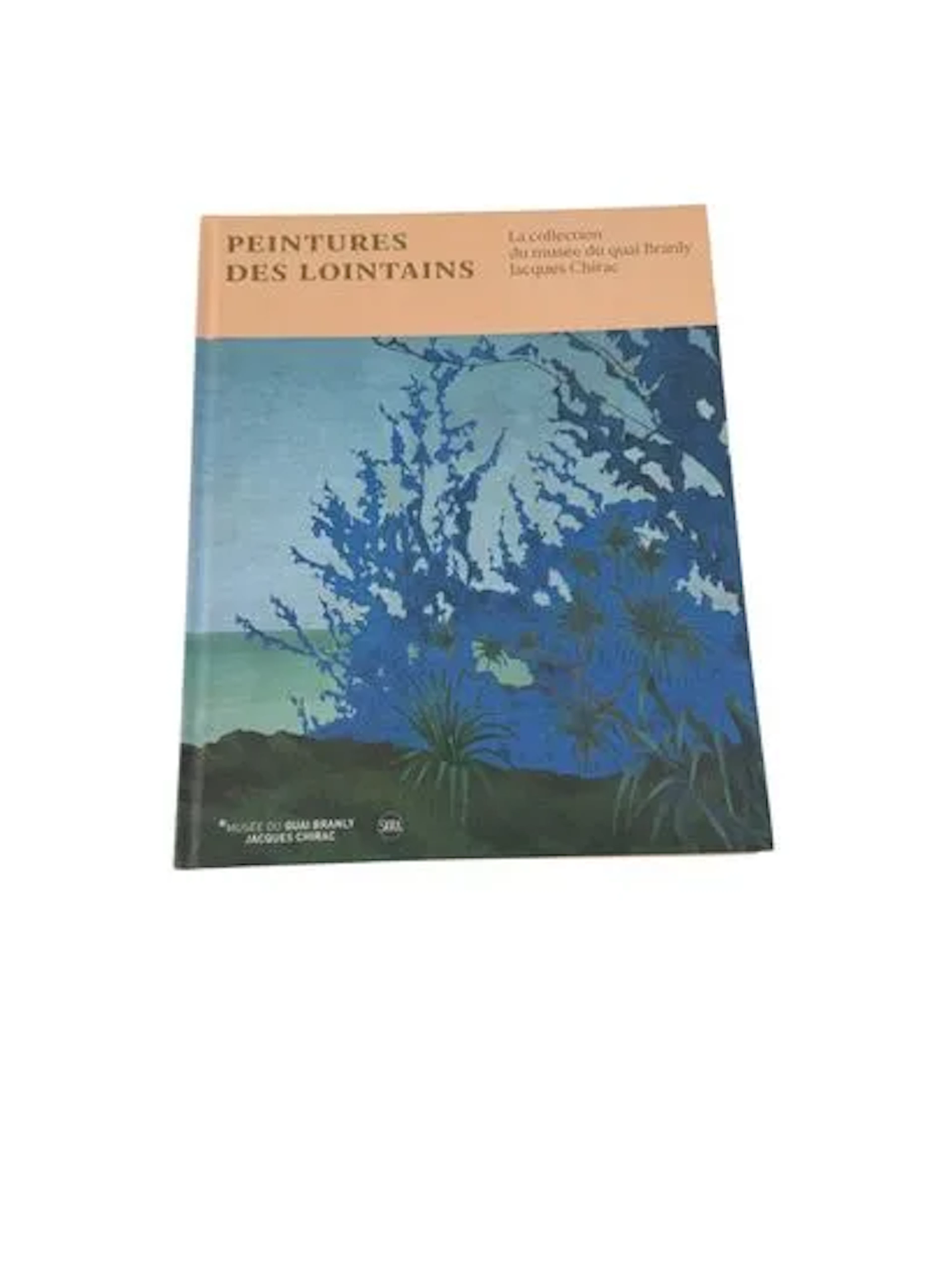 PEINTURES DES LOINTAINS - Lot 428