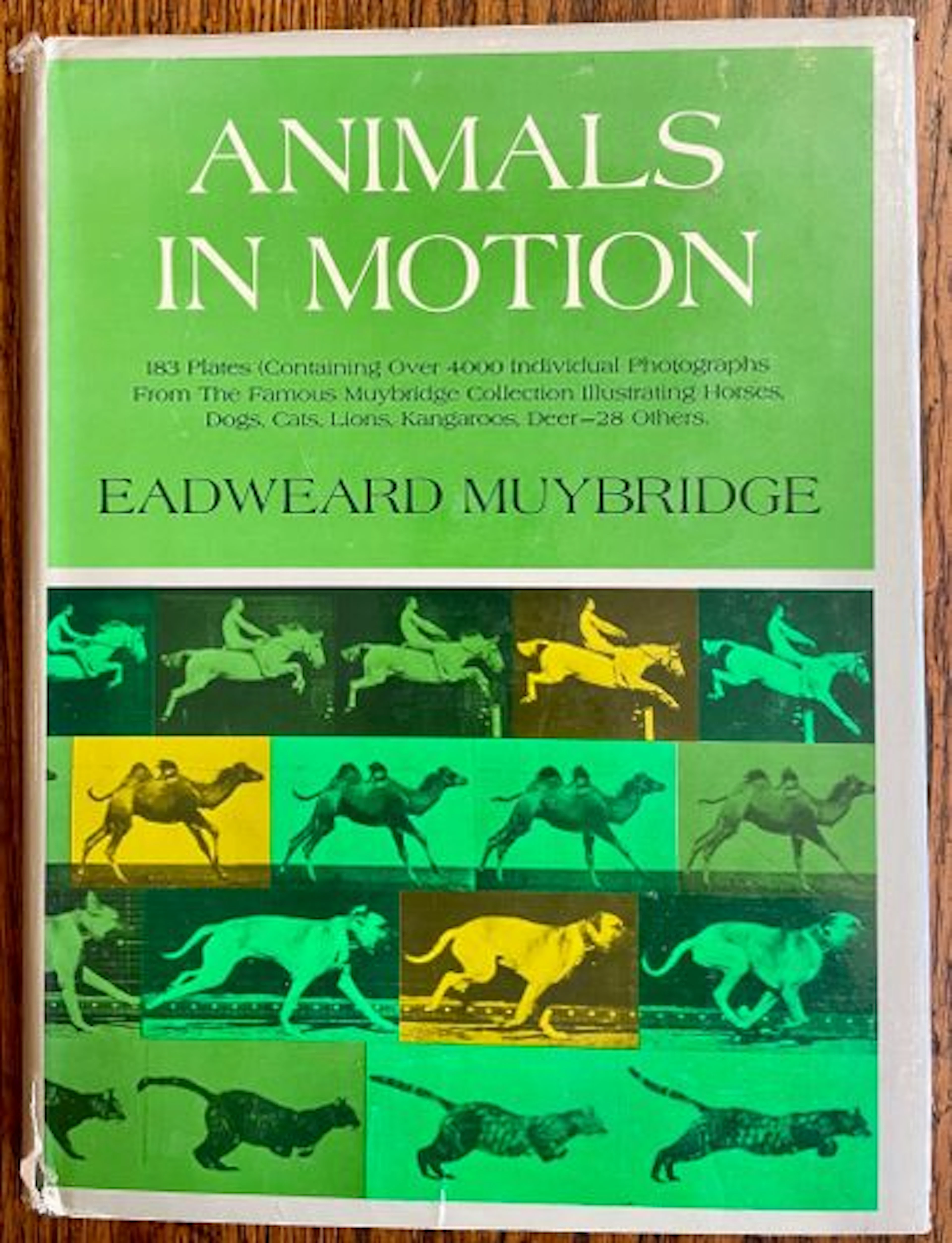 MUYBRIDGE (Eadweard). - Lot 225