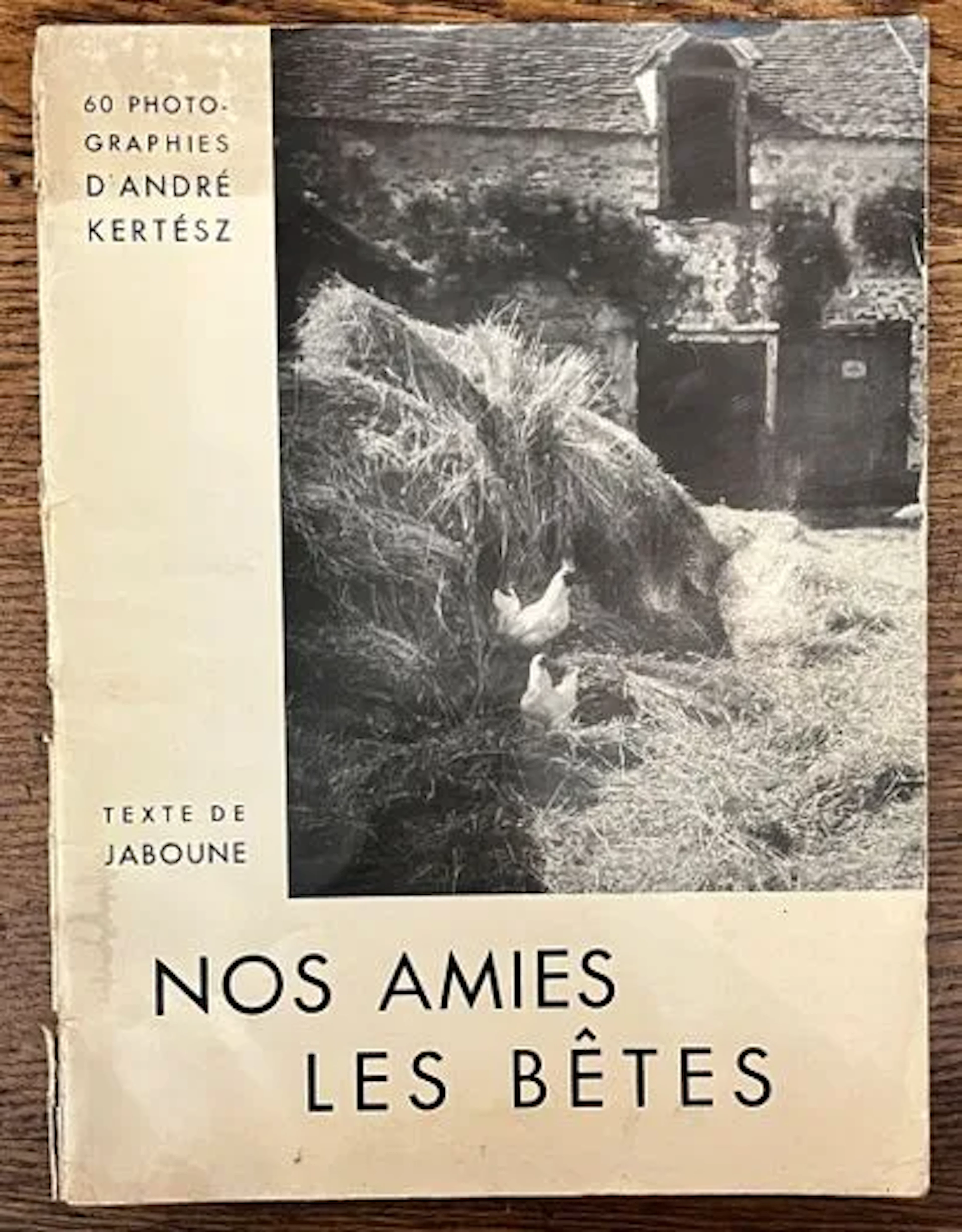 KERTÉSZ (André). — Our Animal Friends. 60 photographs by And - Lot 137