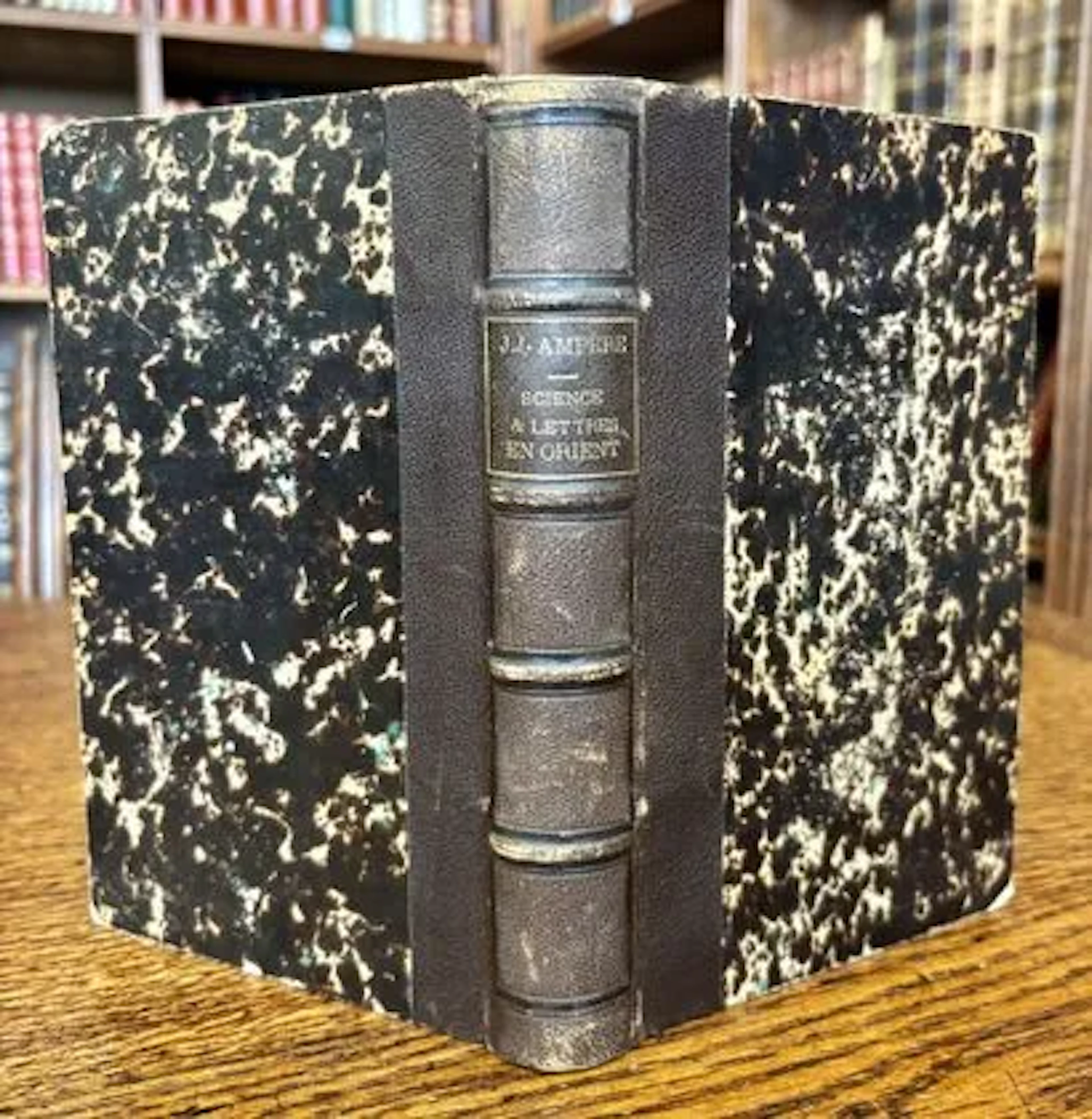 AMPÈRE — Science and Literature in the East, 1865 - Lot 13