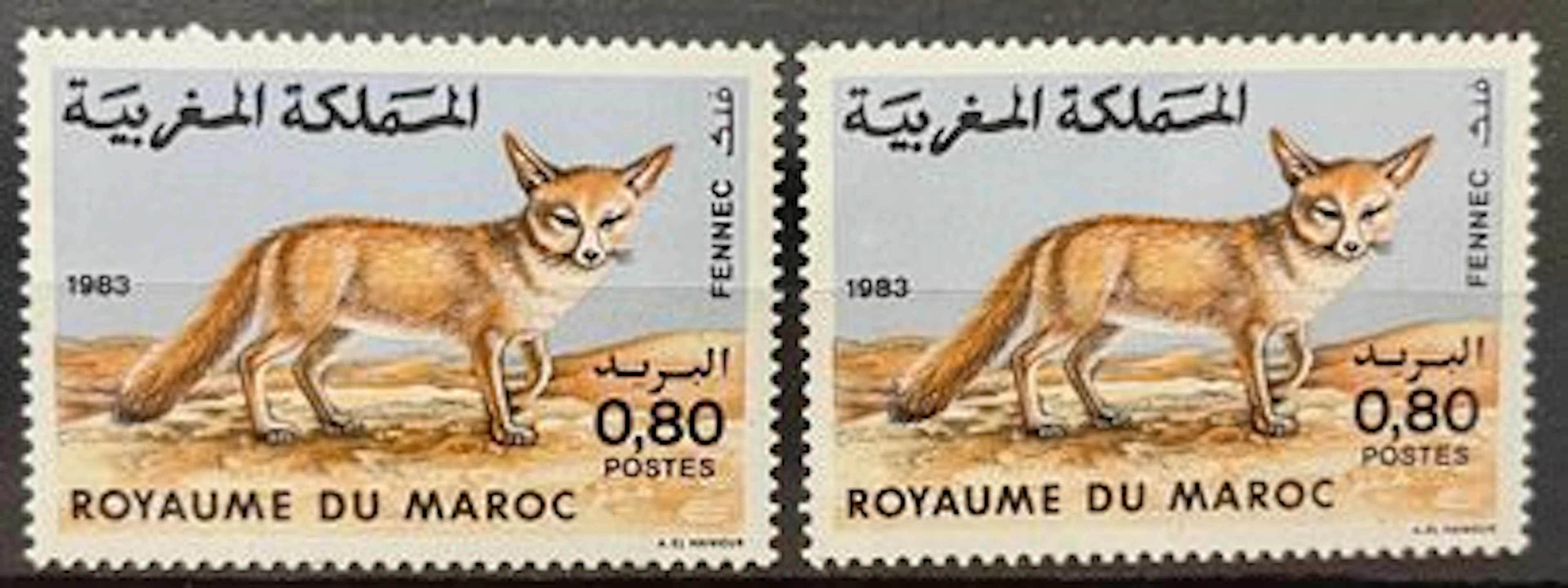 MAROC - Fennec, faune, 1983 - Lot 50