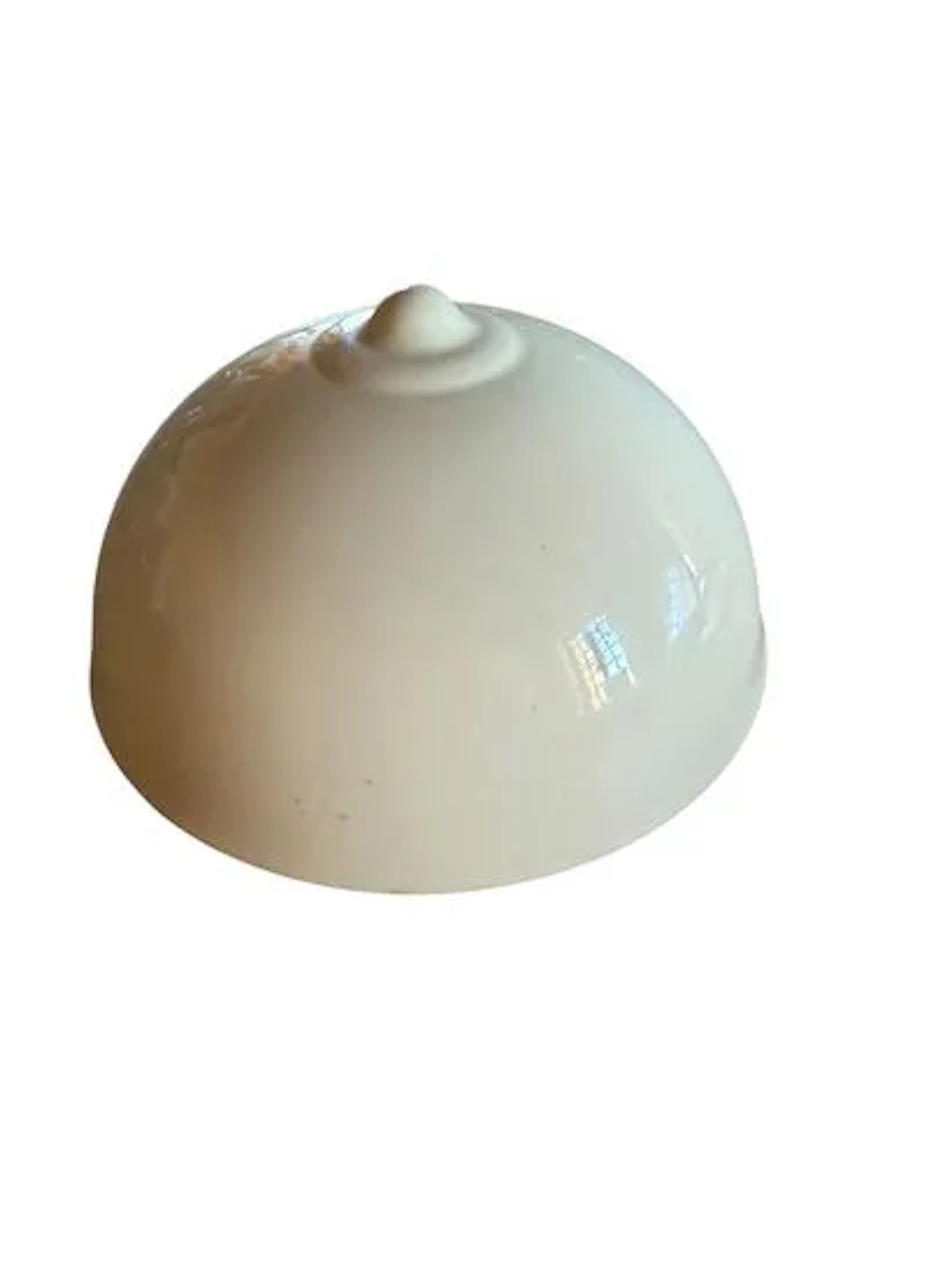 ROYAL MANUFACTORY OF SÈVRES - Lot 118