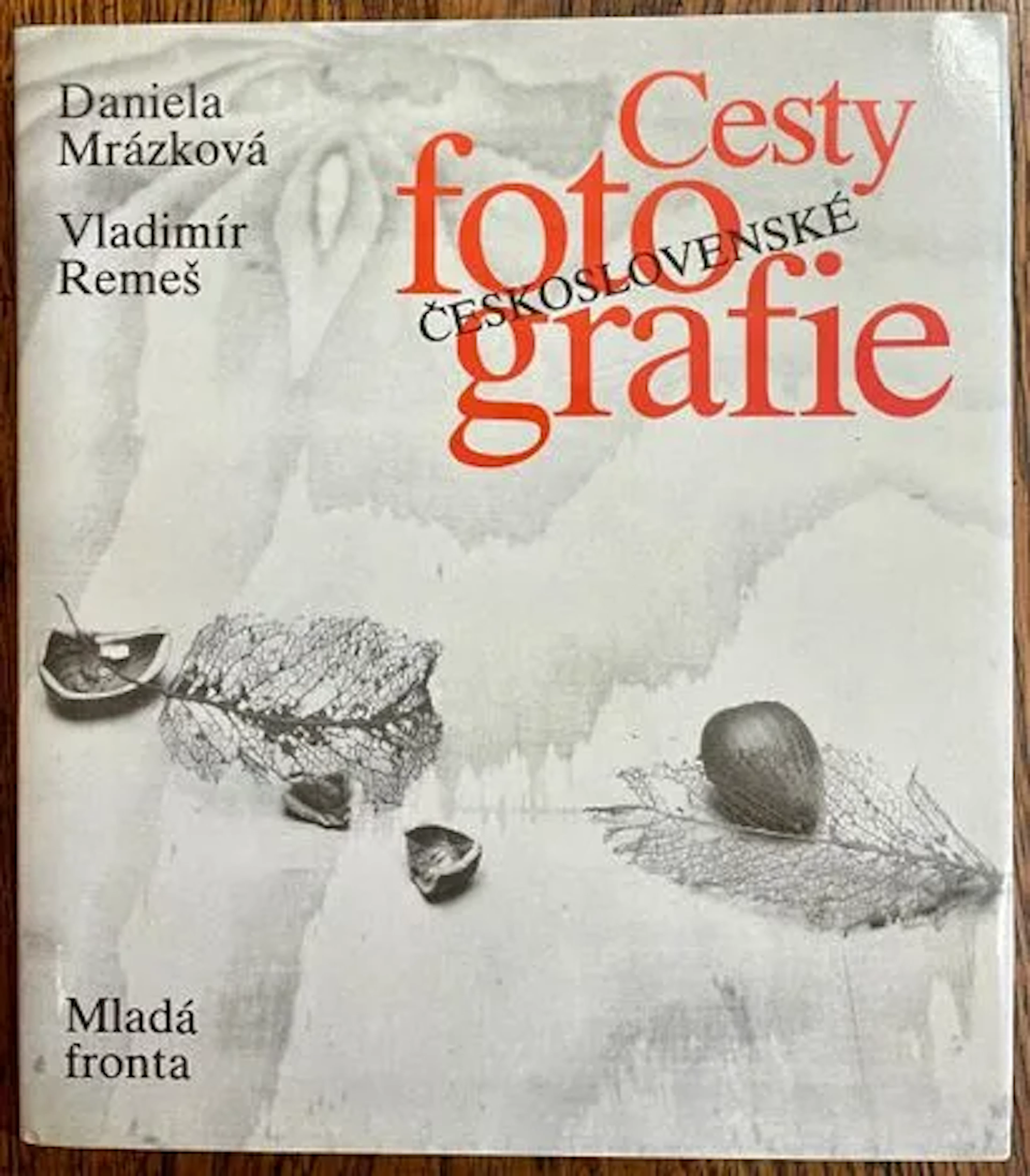 MRAZKOVA (Daniela) and REMEŠ (Vladimír). - Lot 222
