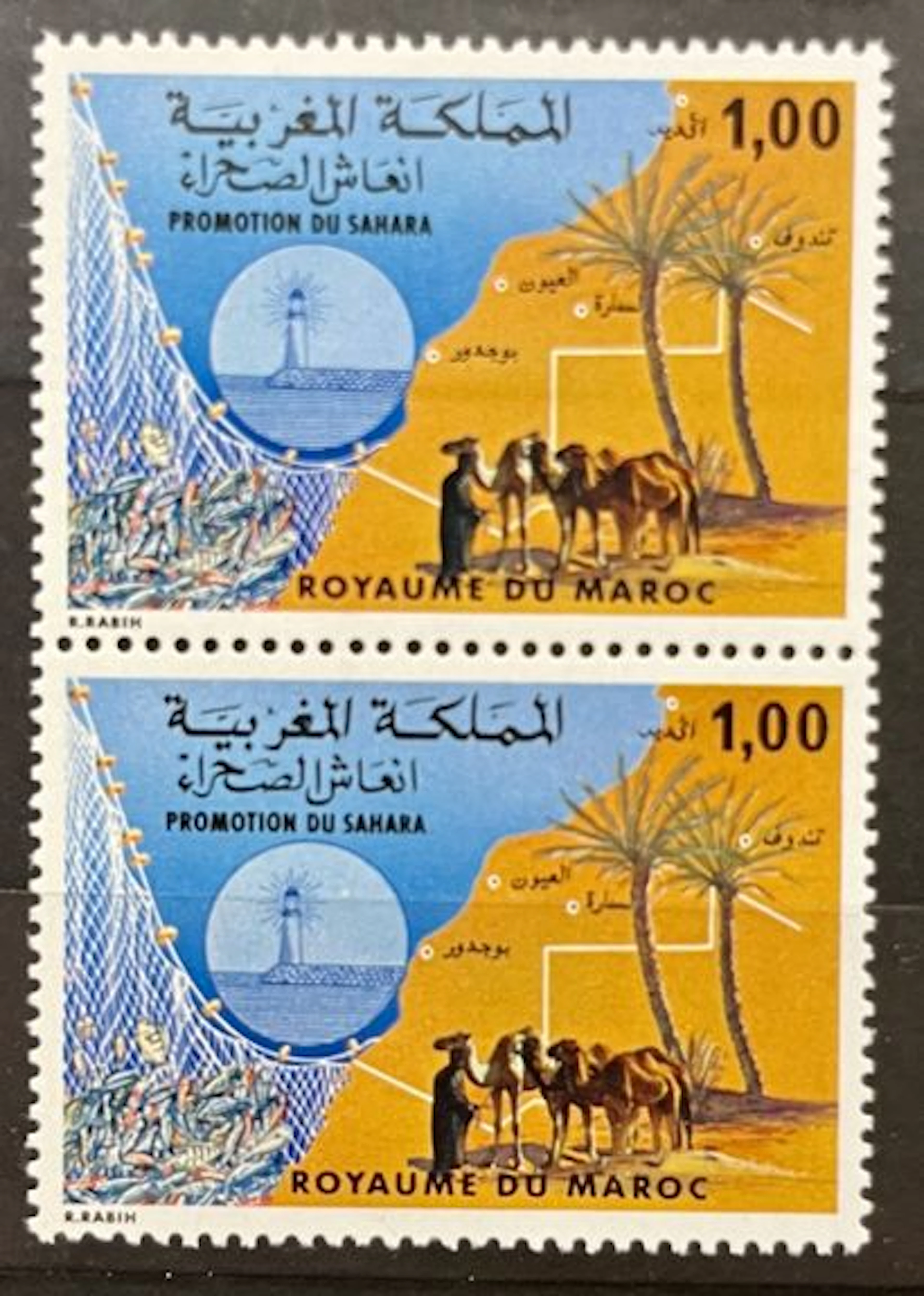 MAROC — PROMOTION DU SAHARA — 1 DH - Lot 269