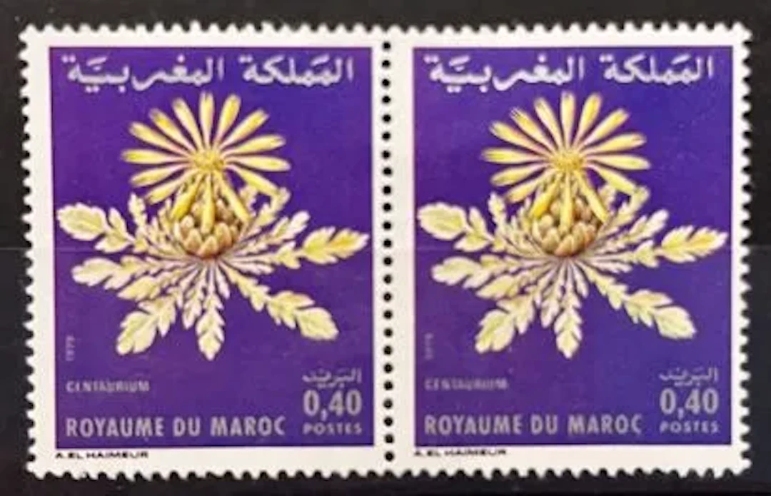 MOROCCO — FLORA — CENTAUREA - Lot 159