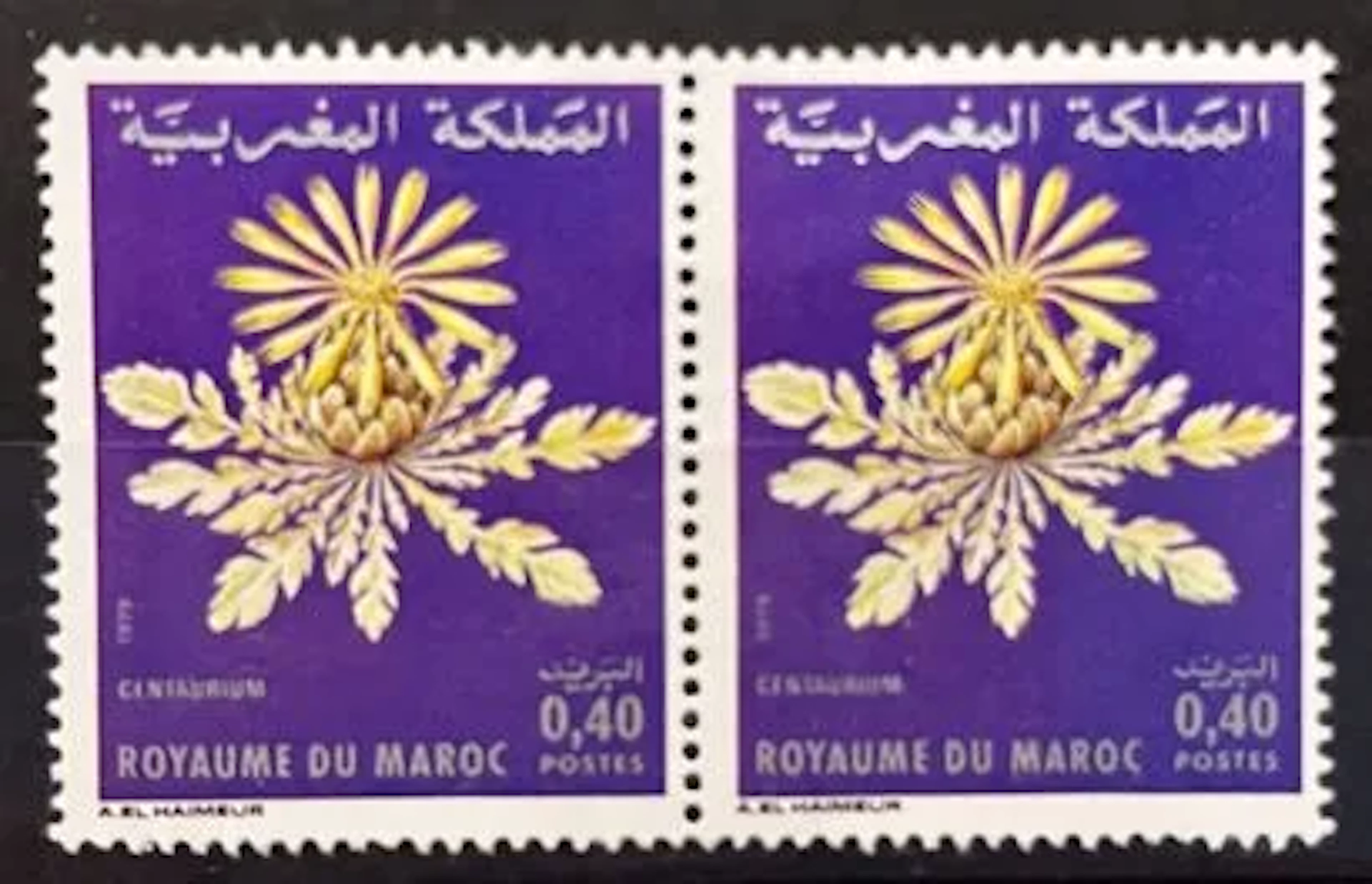 MOROCCO — FLORA — CENTAUREA - Lot 159