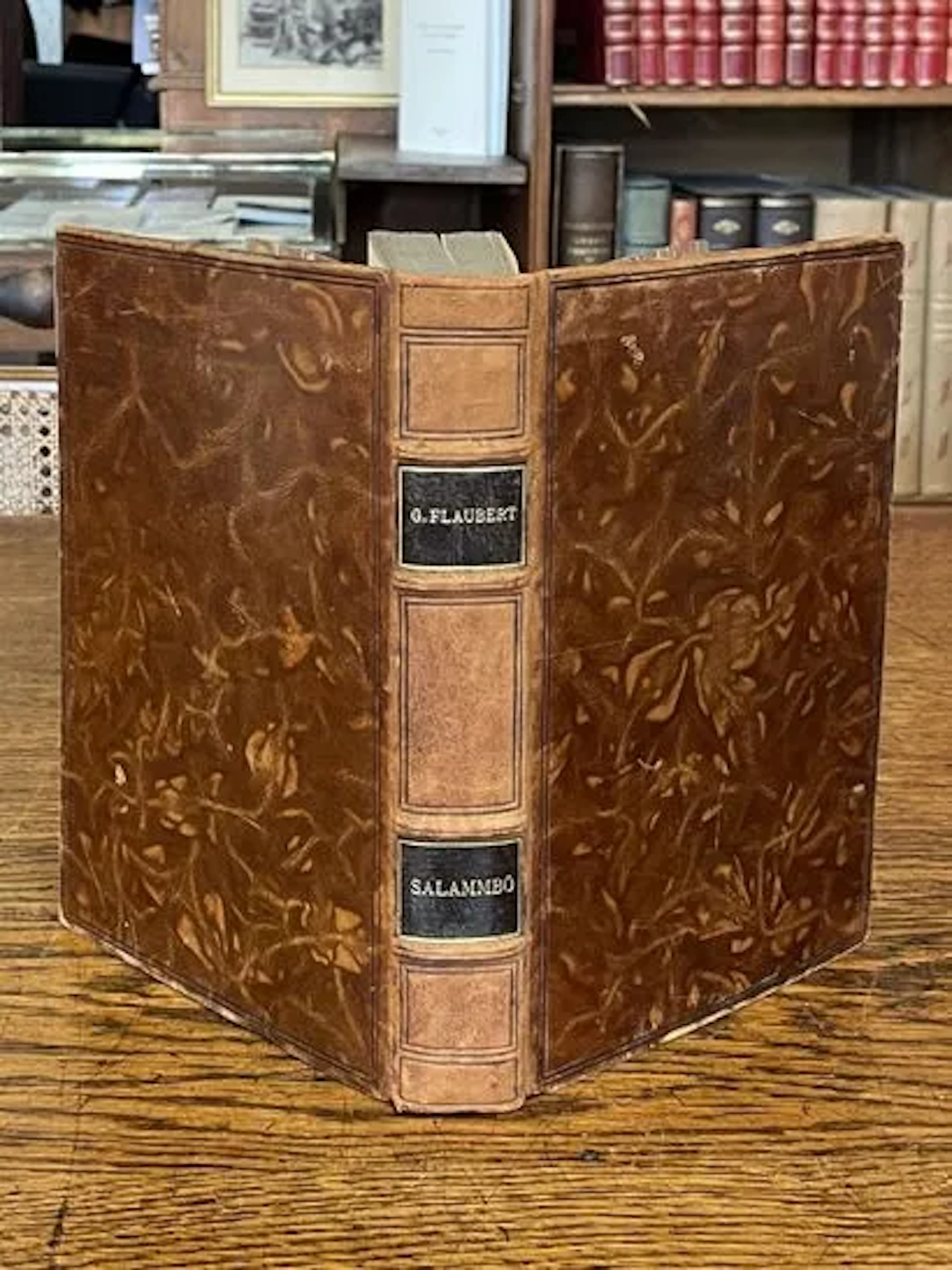 FLAUBERT (Gustave). — Salammbô. - Lot 97