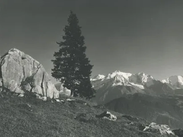 Pierre TAIRRAZ (1933-2000) - Lot 114