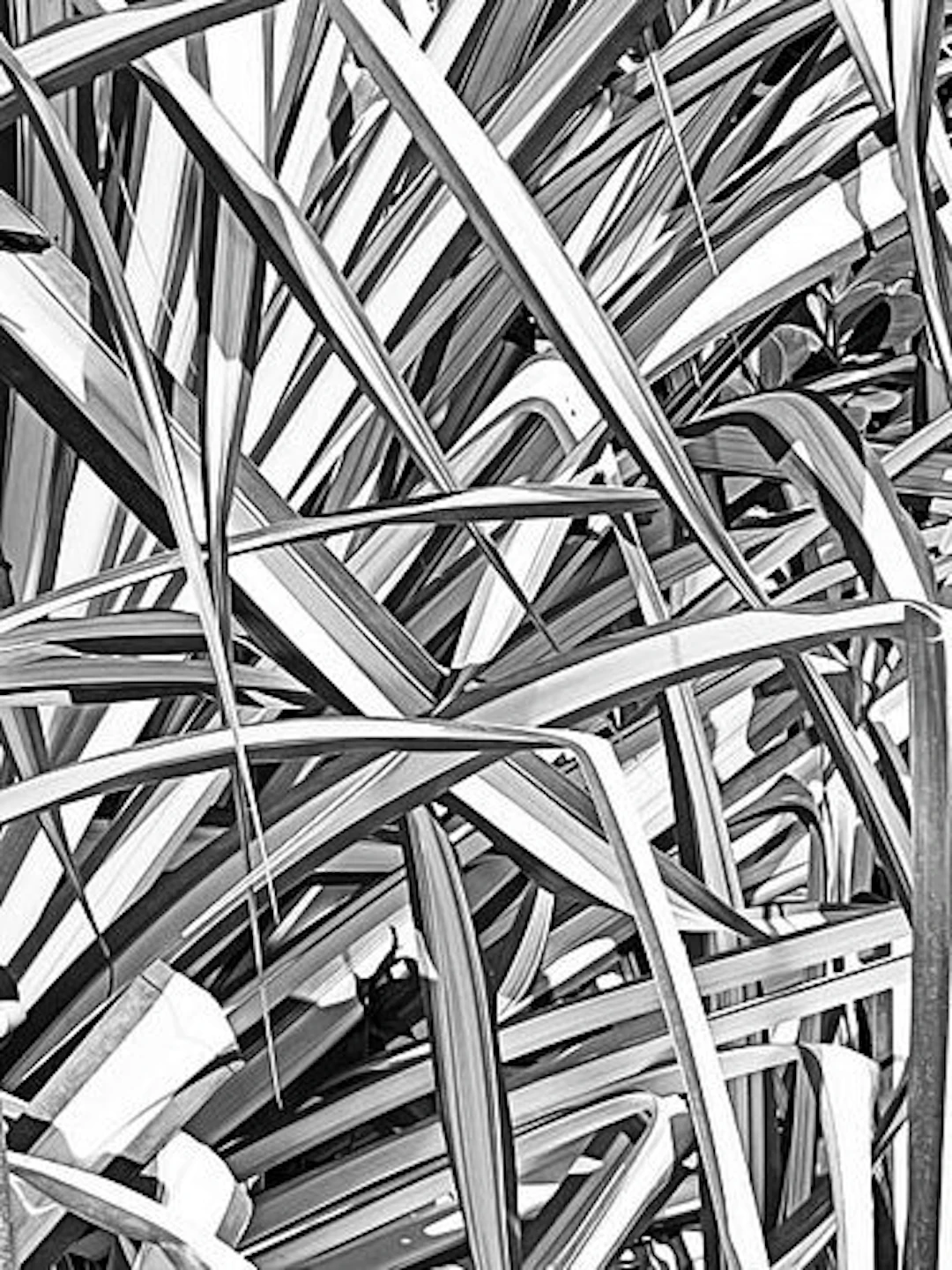 Matthew Steinberg - Abstract 2023