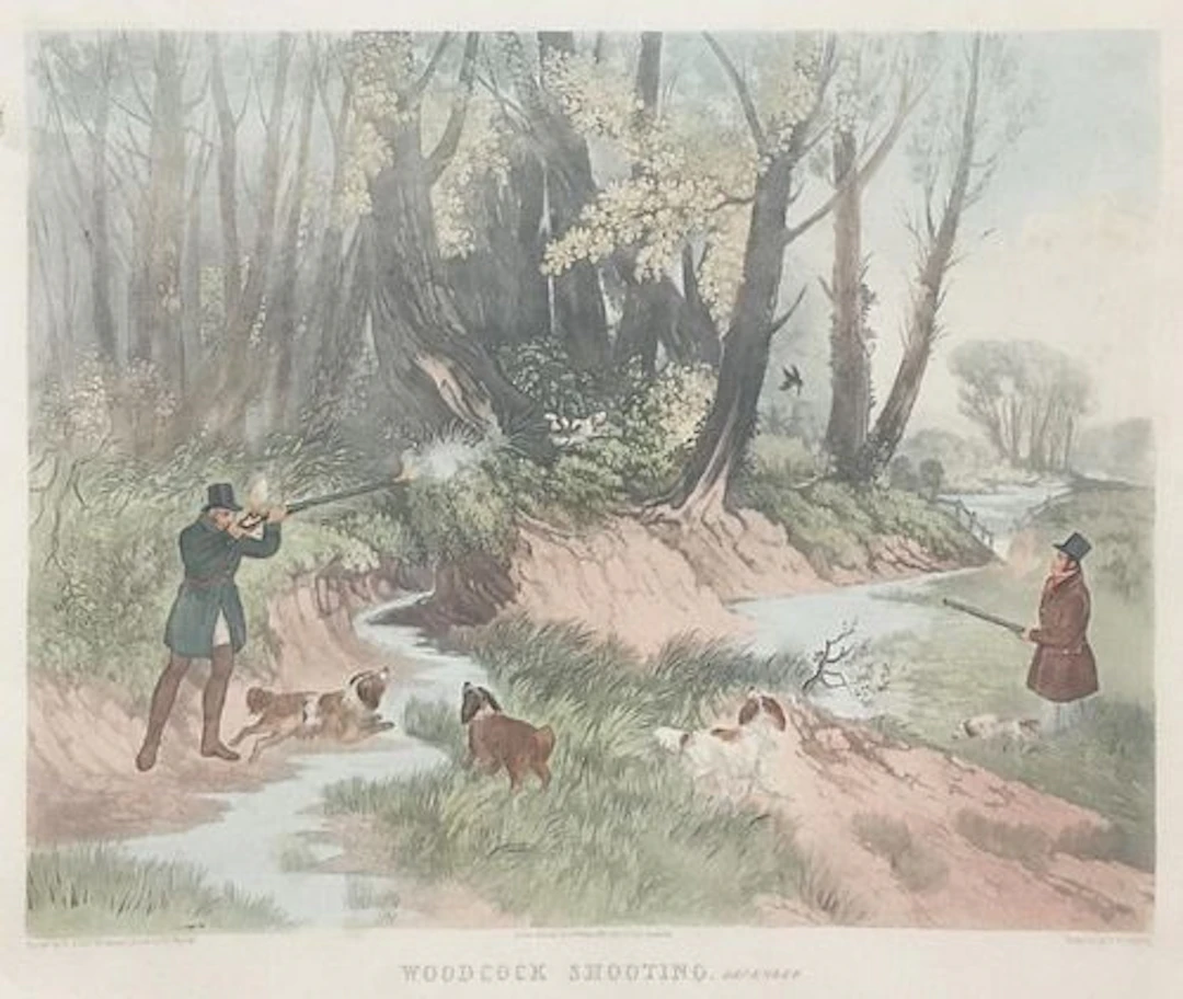 RB Davis (After) - Woodcock Shooting