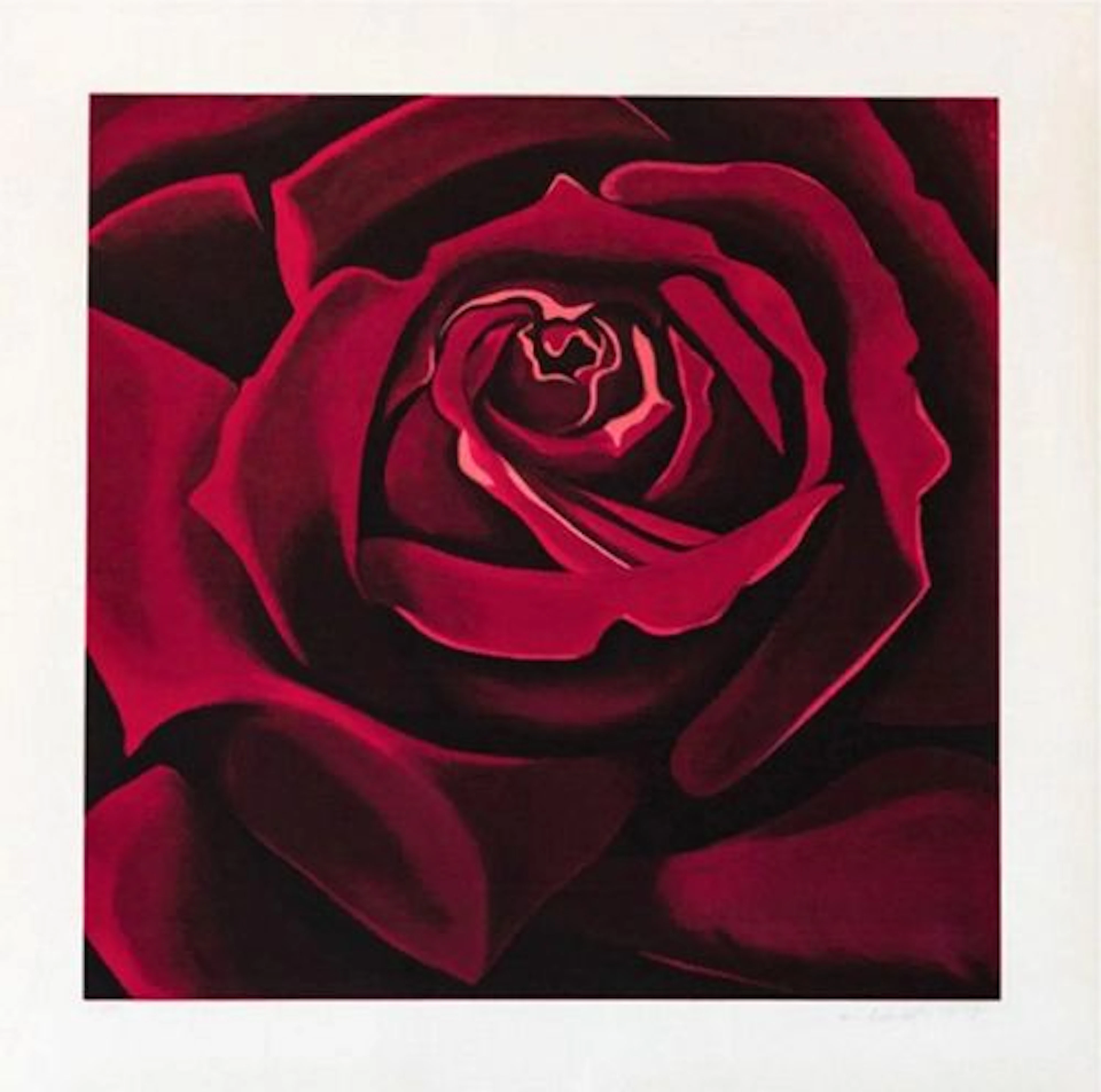 Lowell Nesbitt - Rose