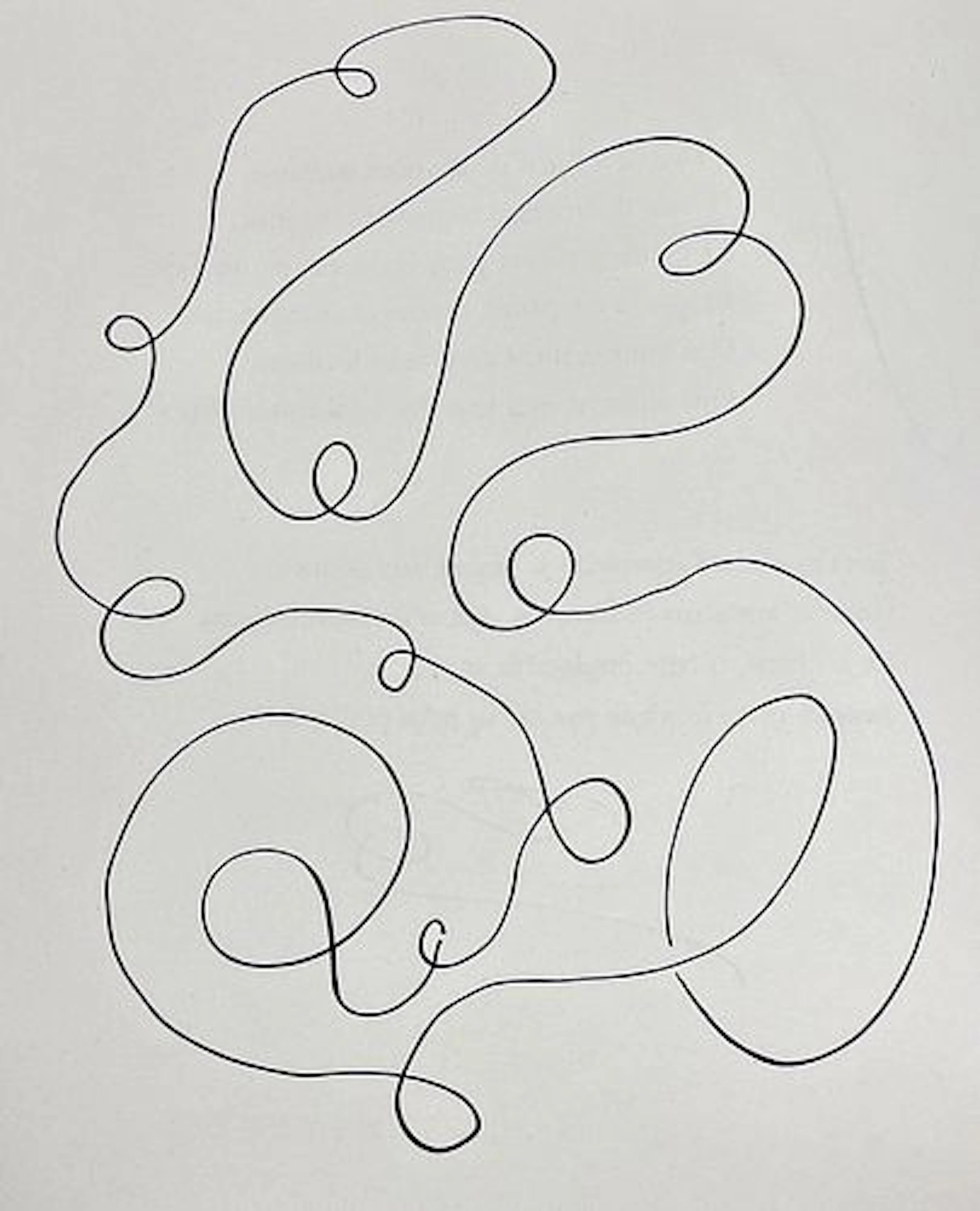 Henri Matisse - Fleurs du mal XVIII