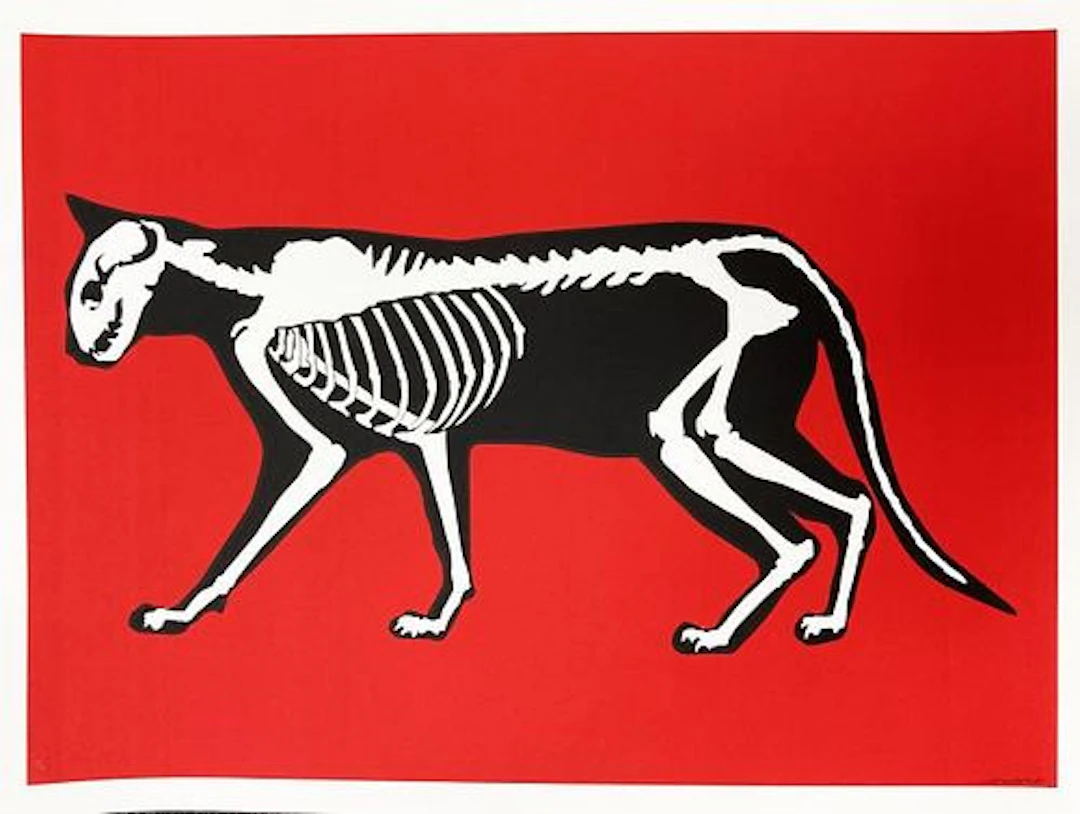 Hijack - Skeleton Cat