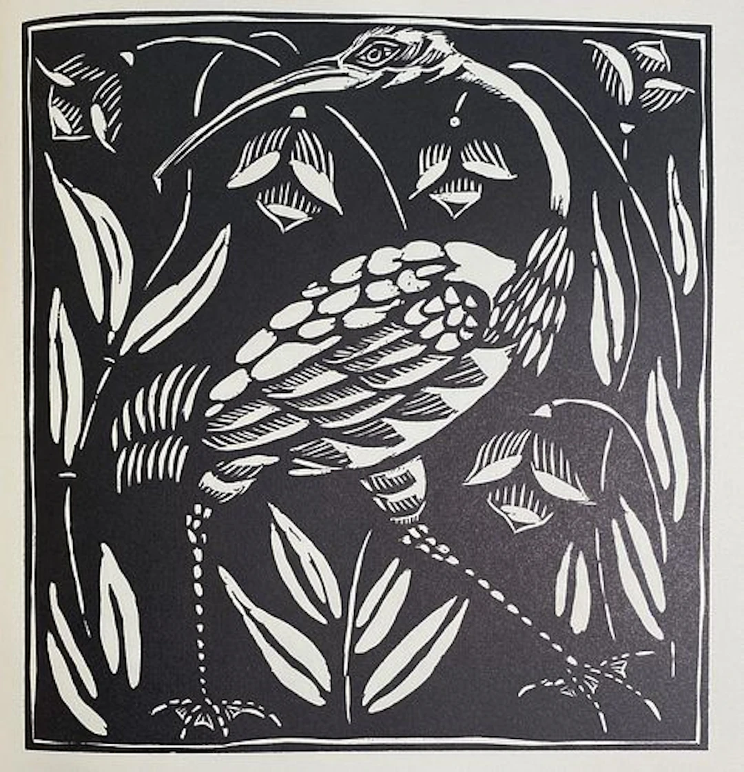 Raoul Dufy - Ibis