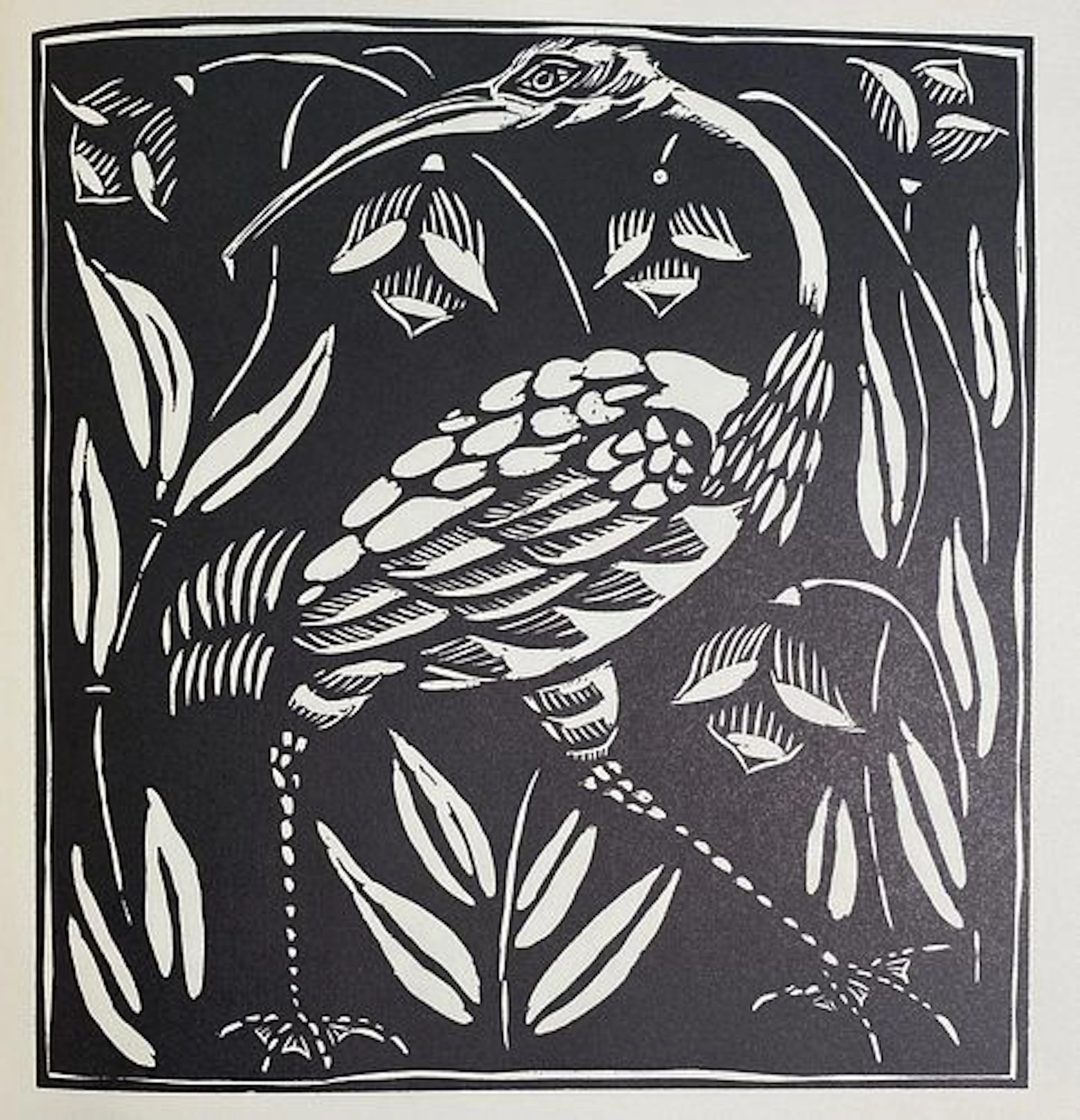 Raoul Dufy - Ibis