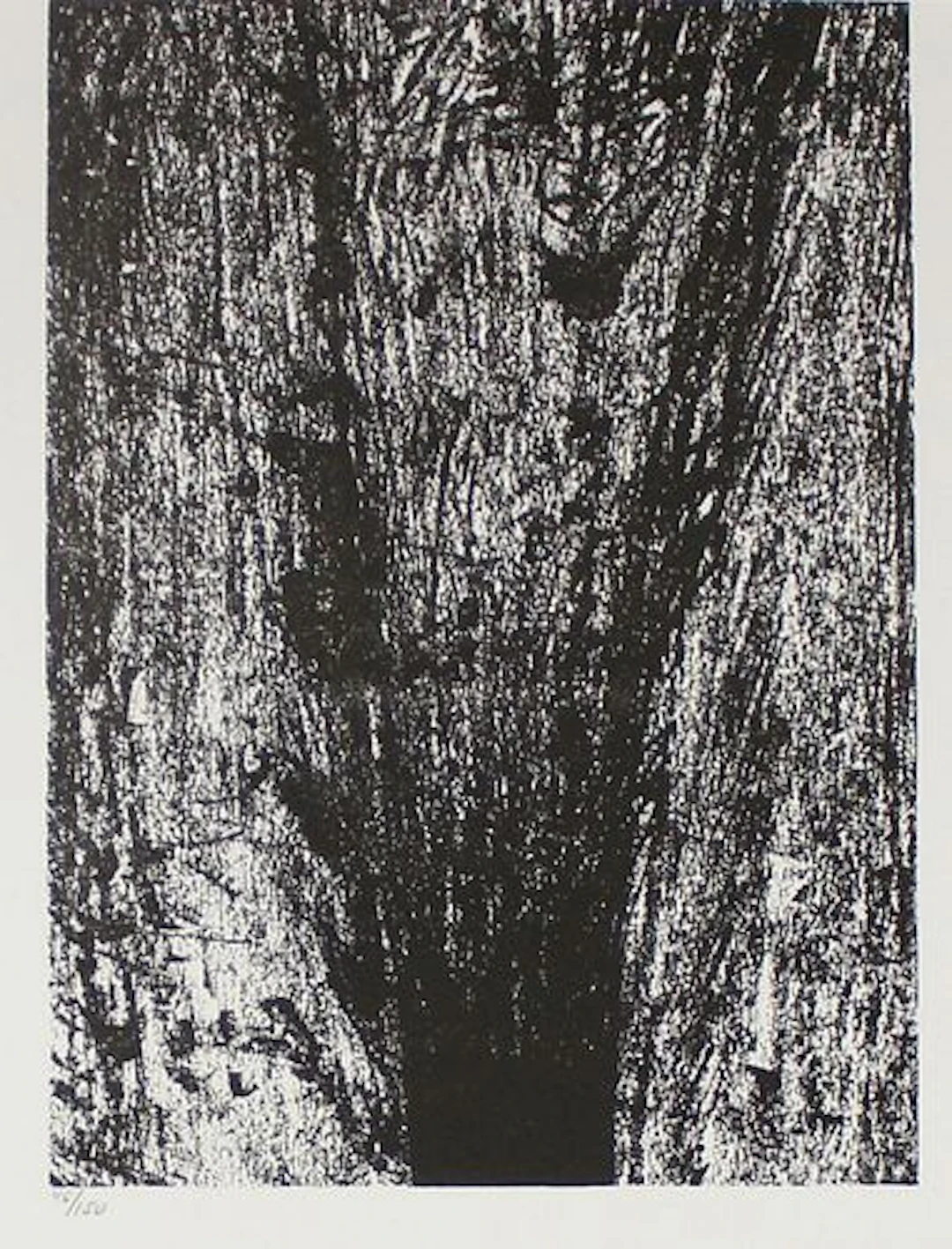 Henry Moore - In Solitude for Company
