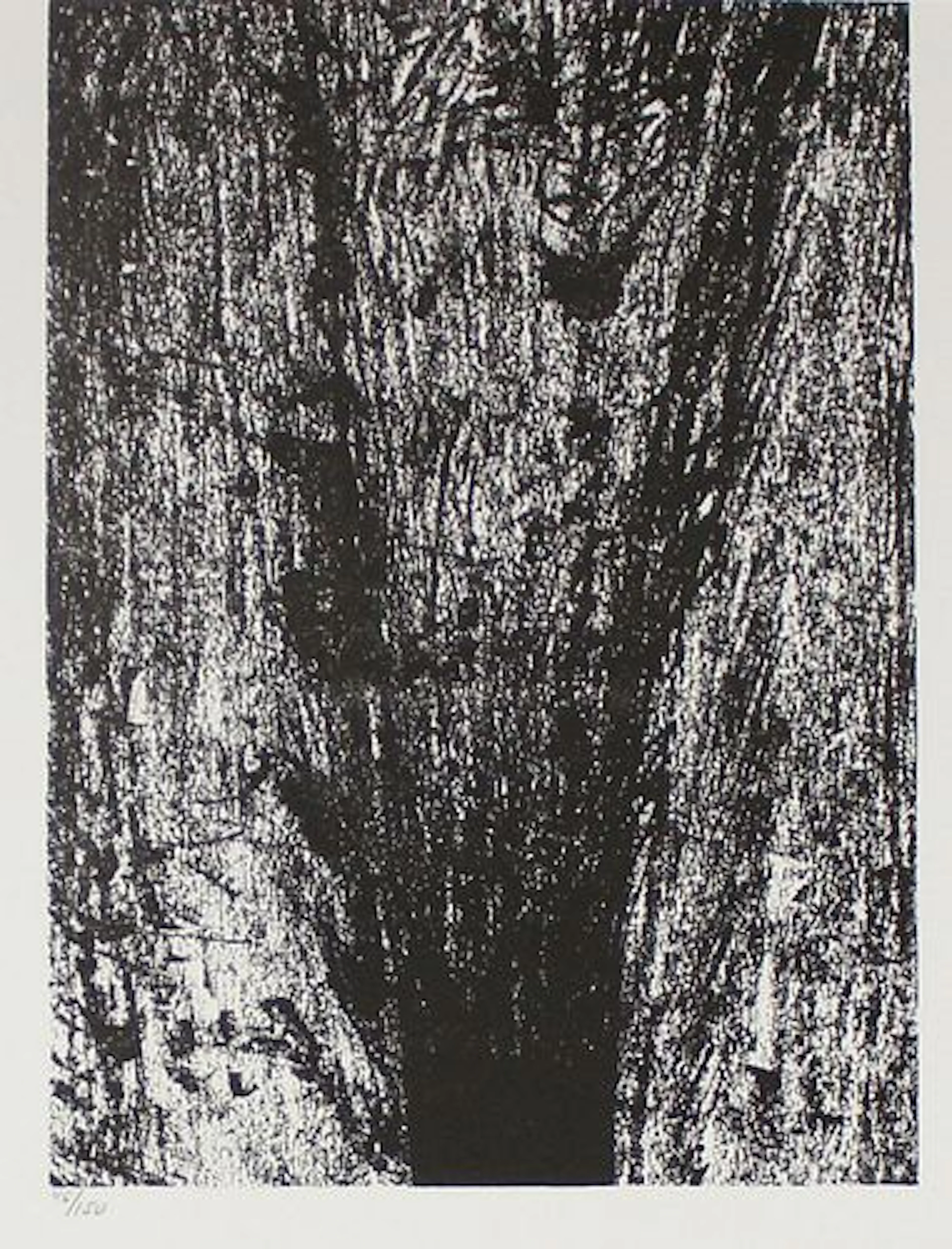 Henry Moore - In Solitude for Company