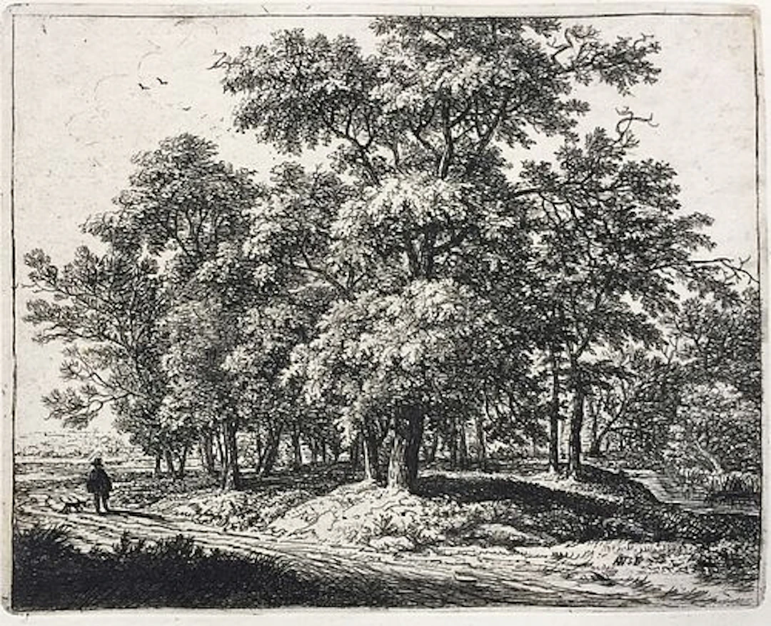 Anthonie Waterloo - Study of Trees