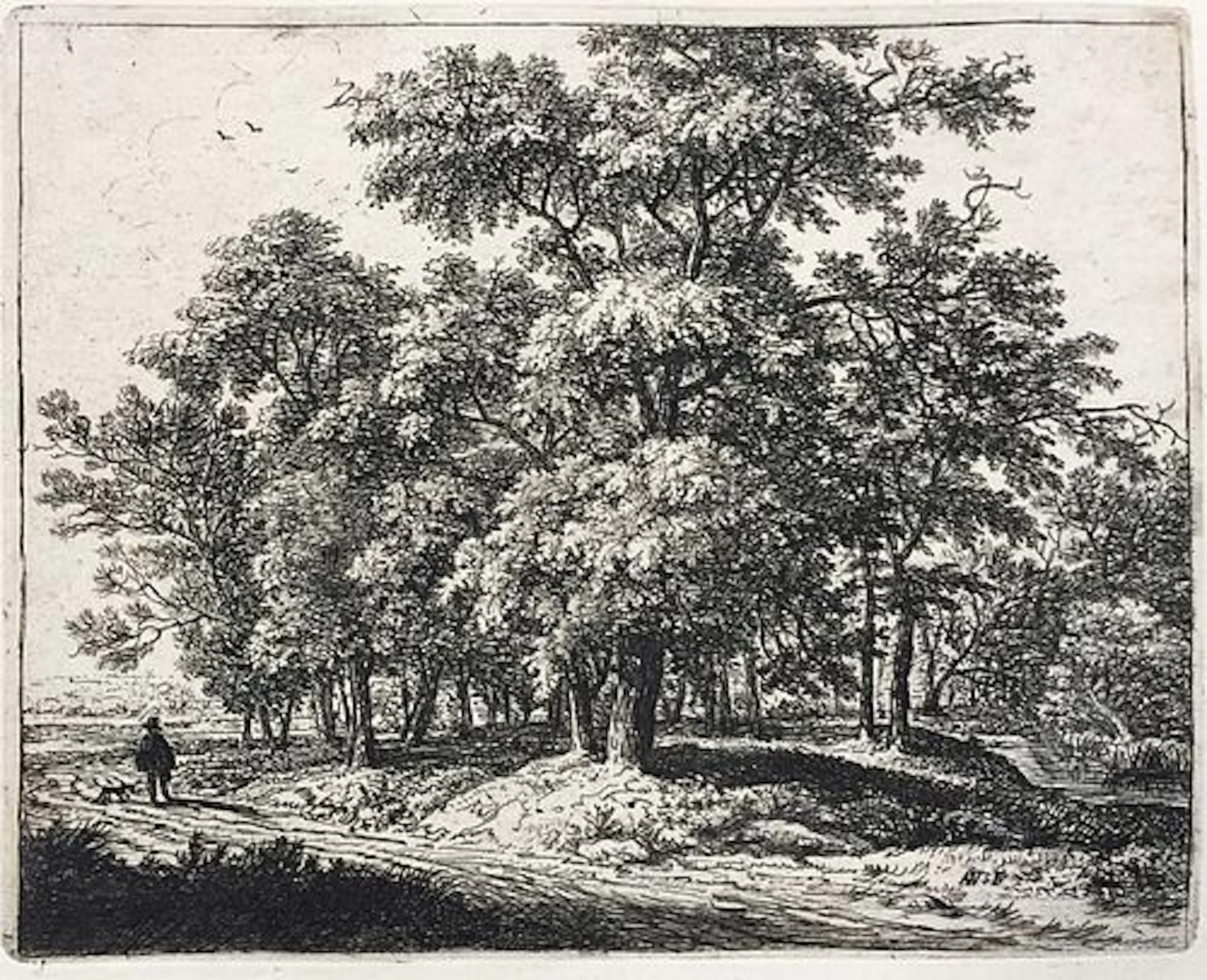 Anthonie Waterloo - Study of Trees
