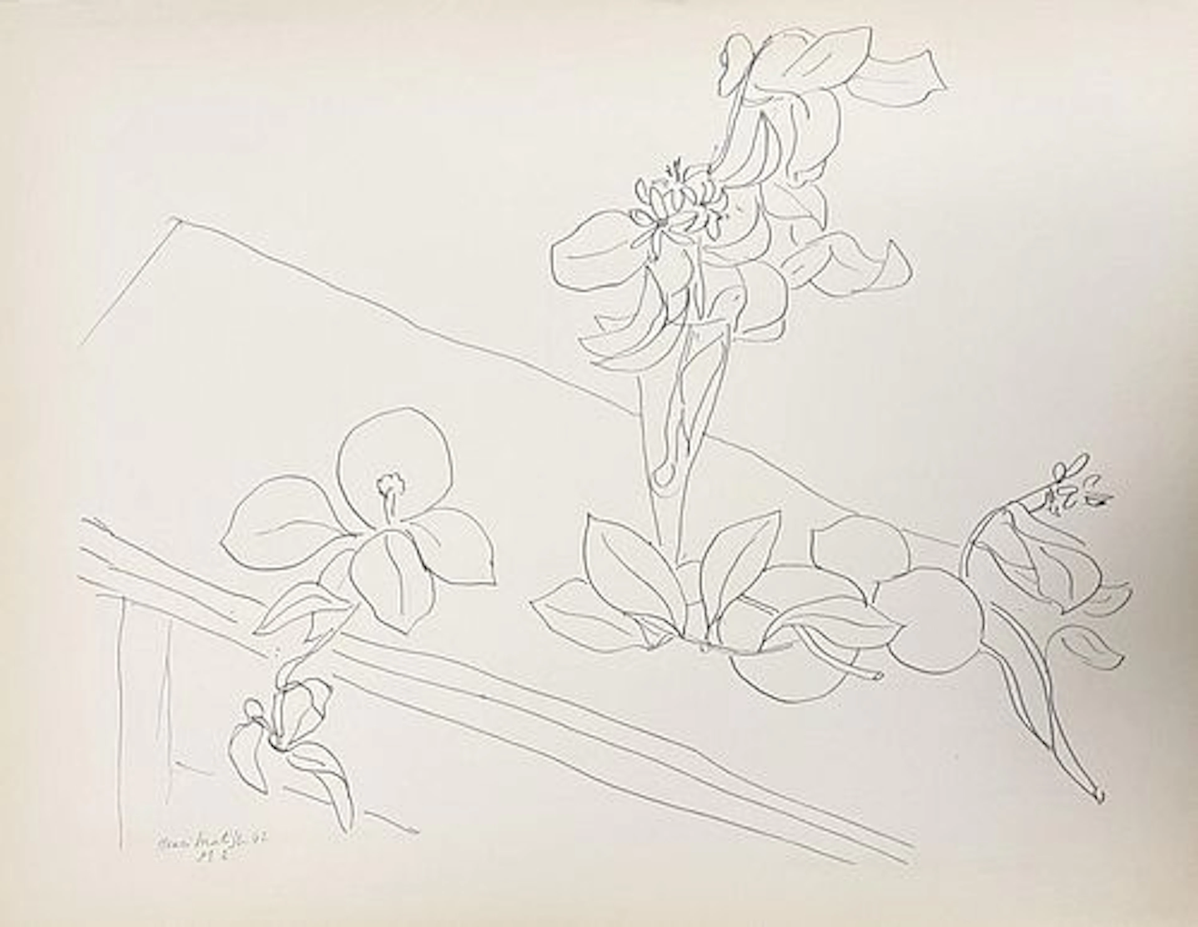 Henri Matisse (After) - Still Life 20
