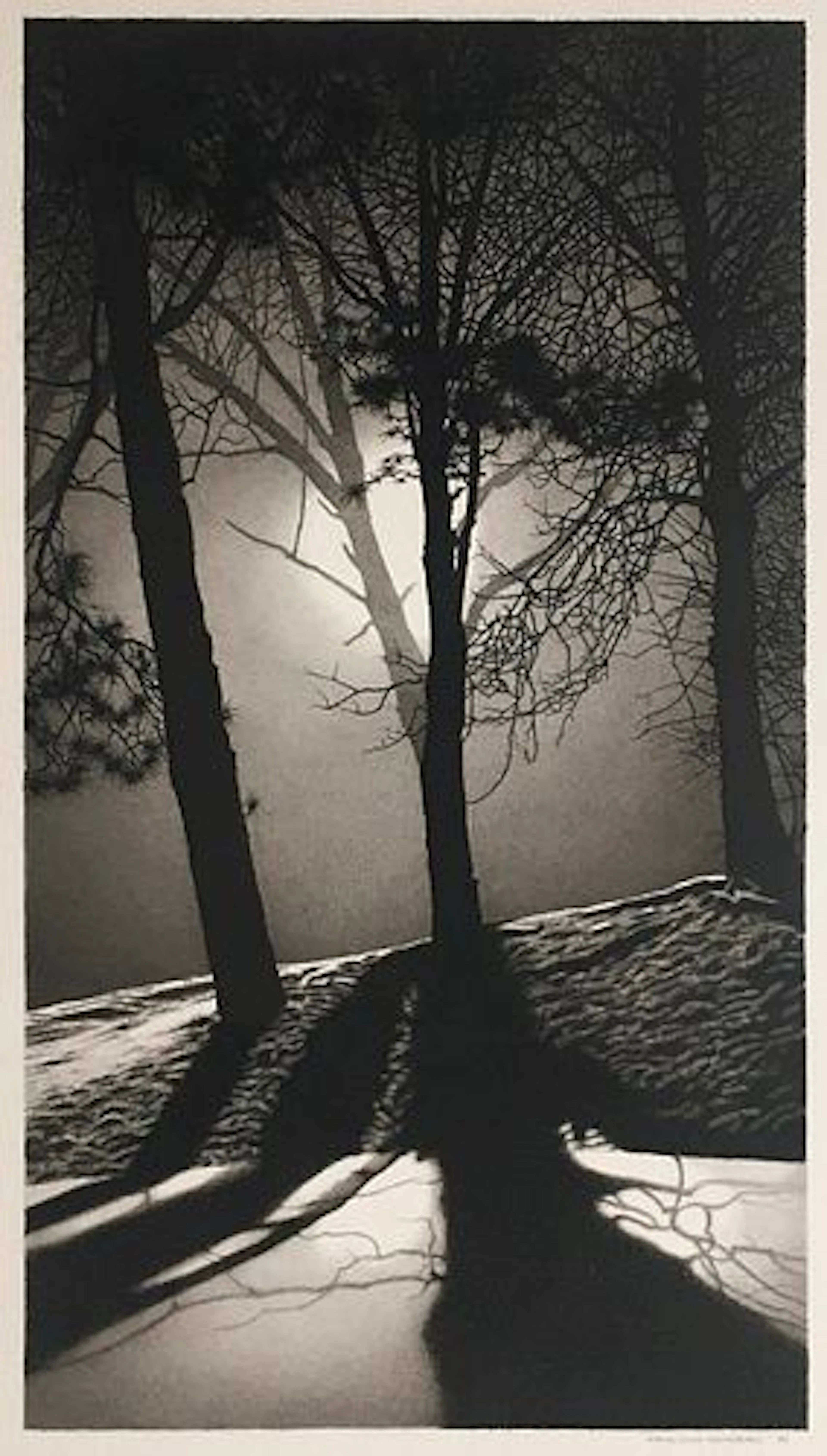 David Scott Armstrong - Equinox 11