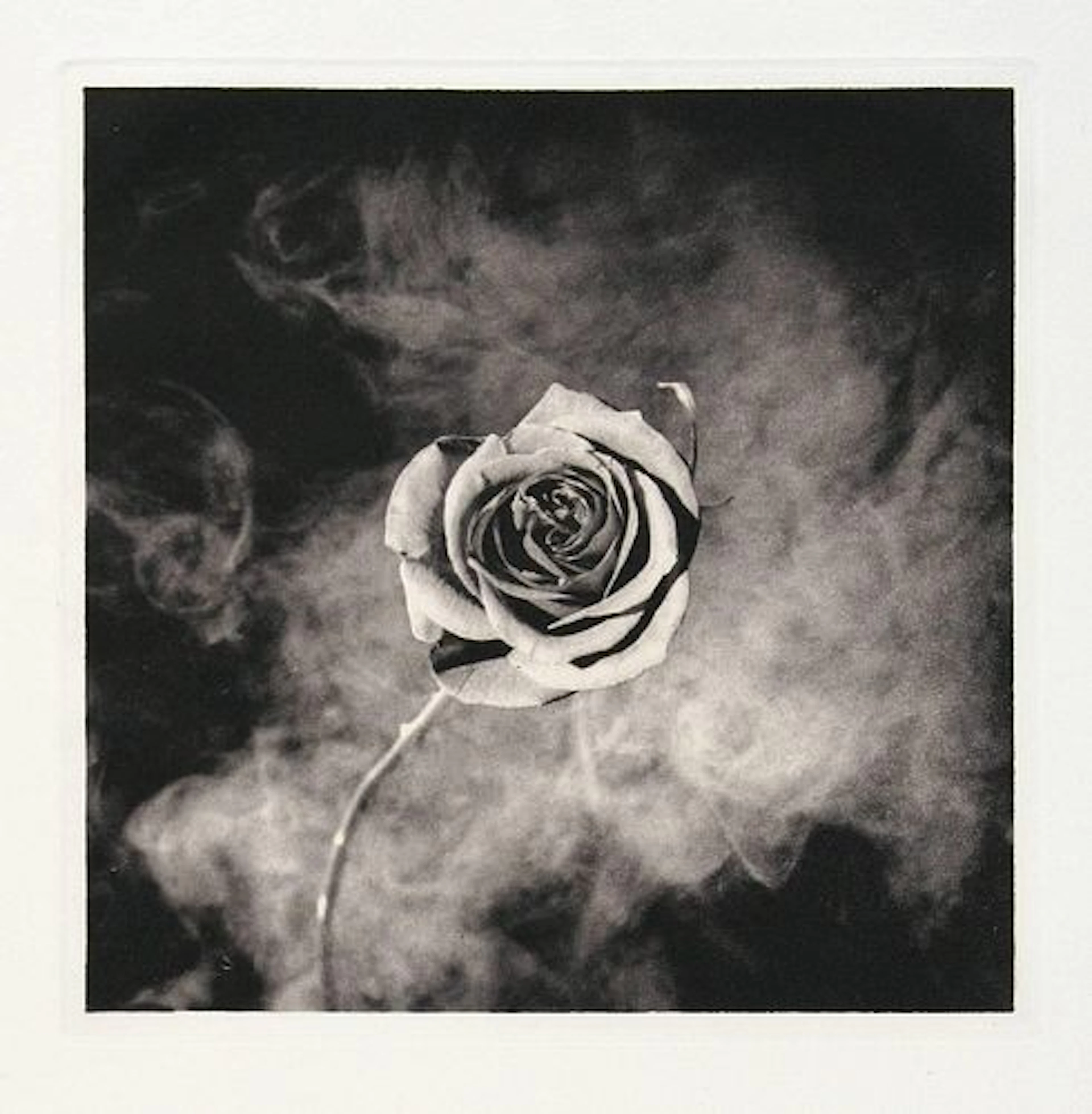 Robert Mapplethorpe - Untitled III from A Season in Hell